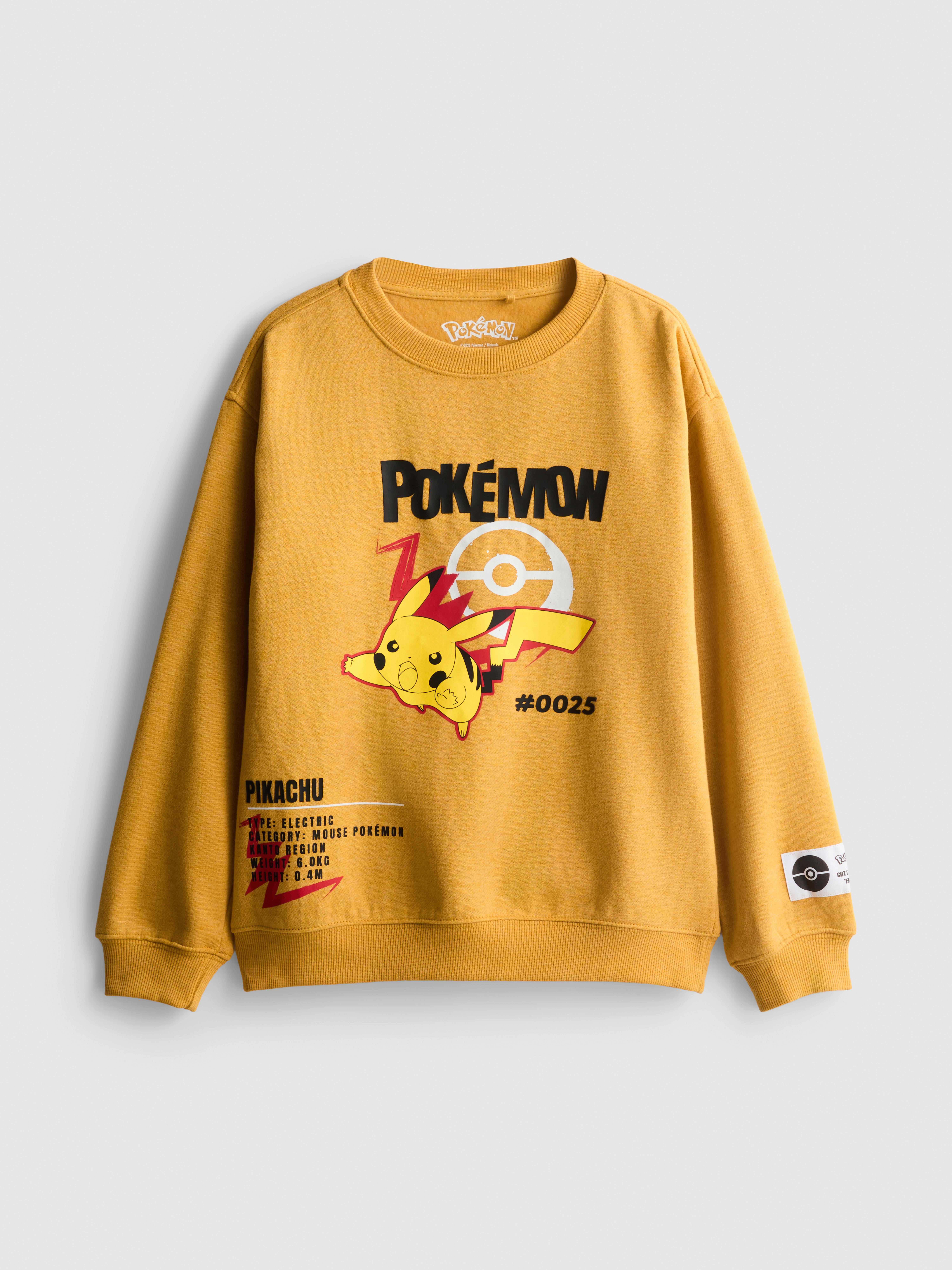 7-15 jr | Sweatshirt Pokémon