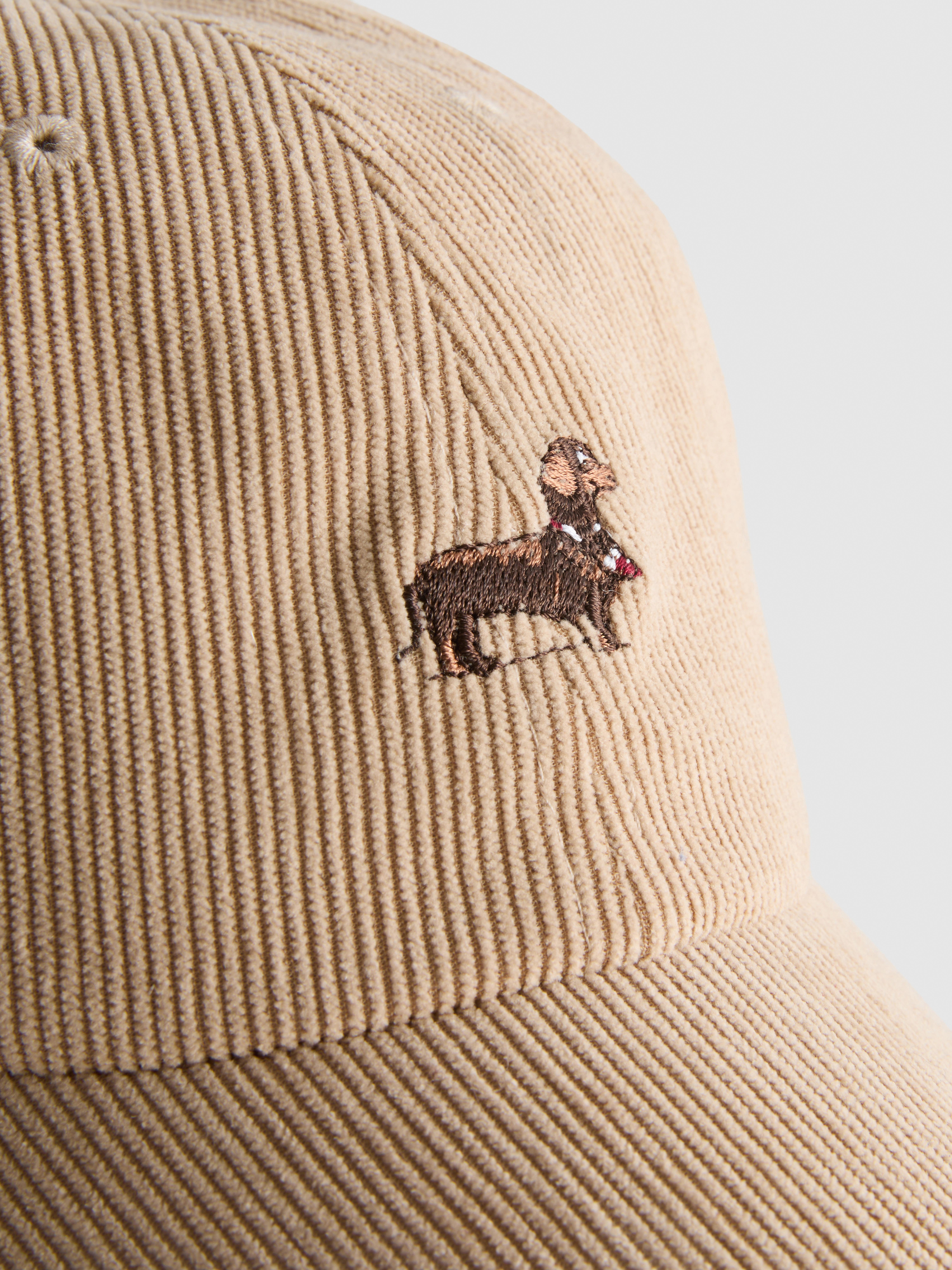 Corduroy Dog Baseball Cap