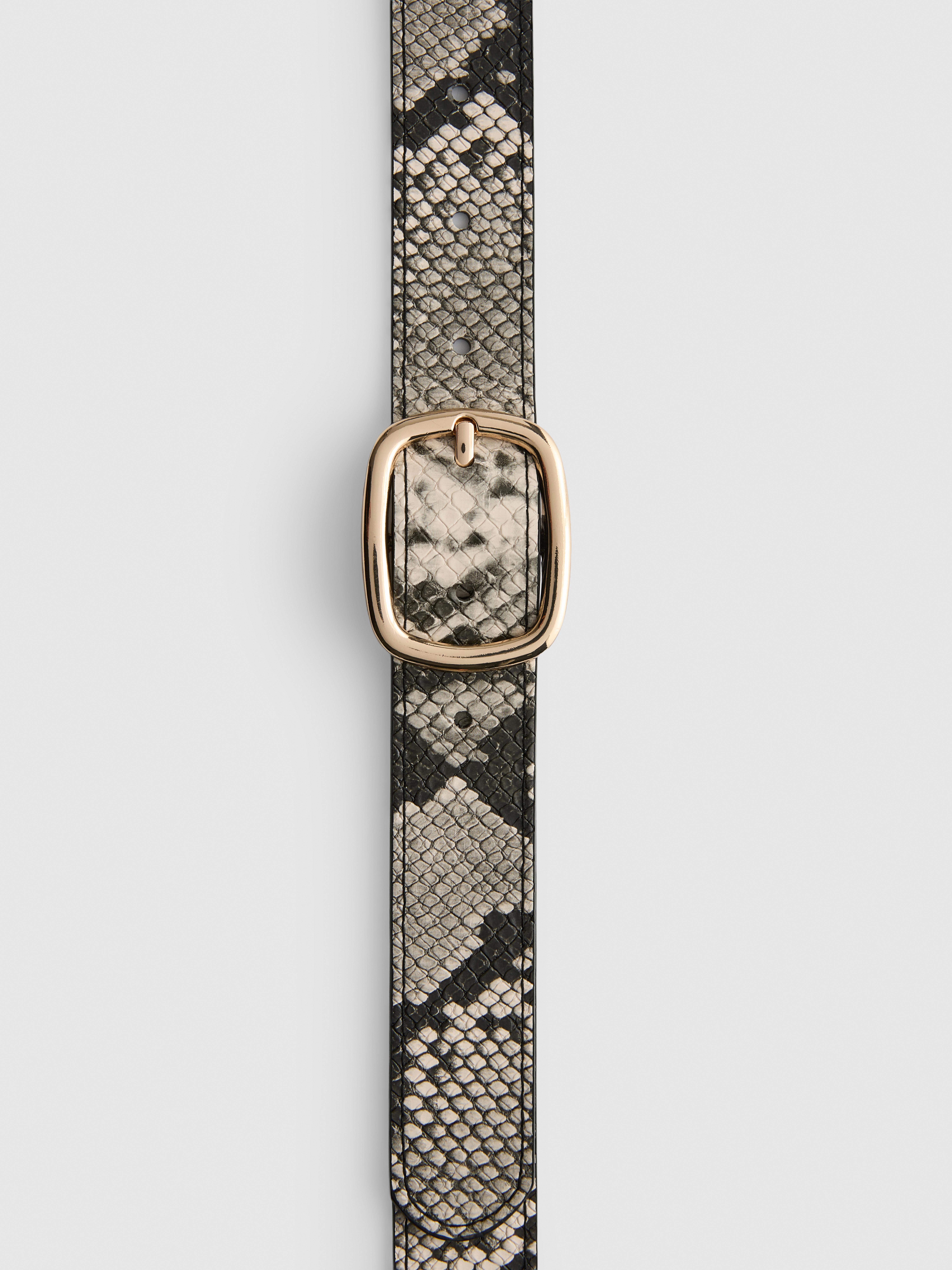 Rounded Buckle Belt