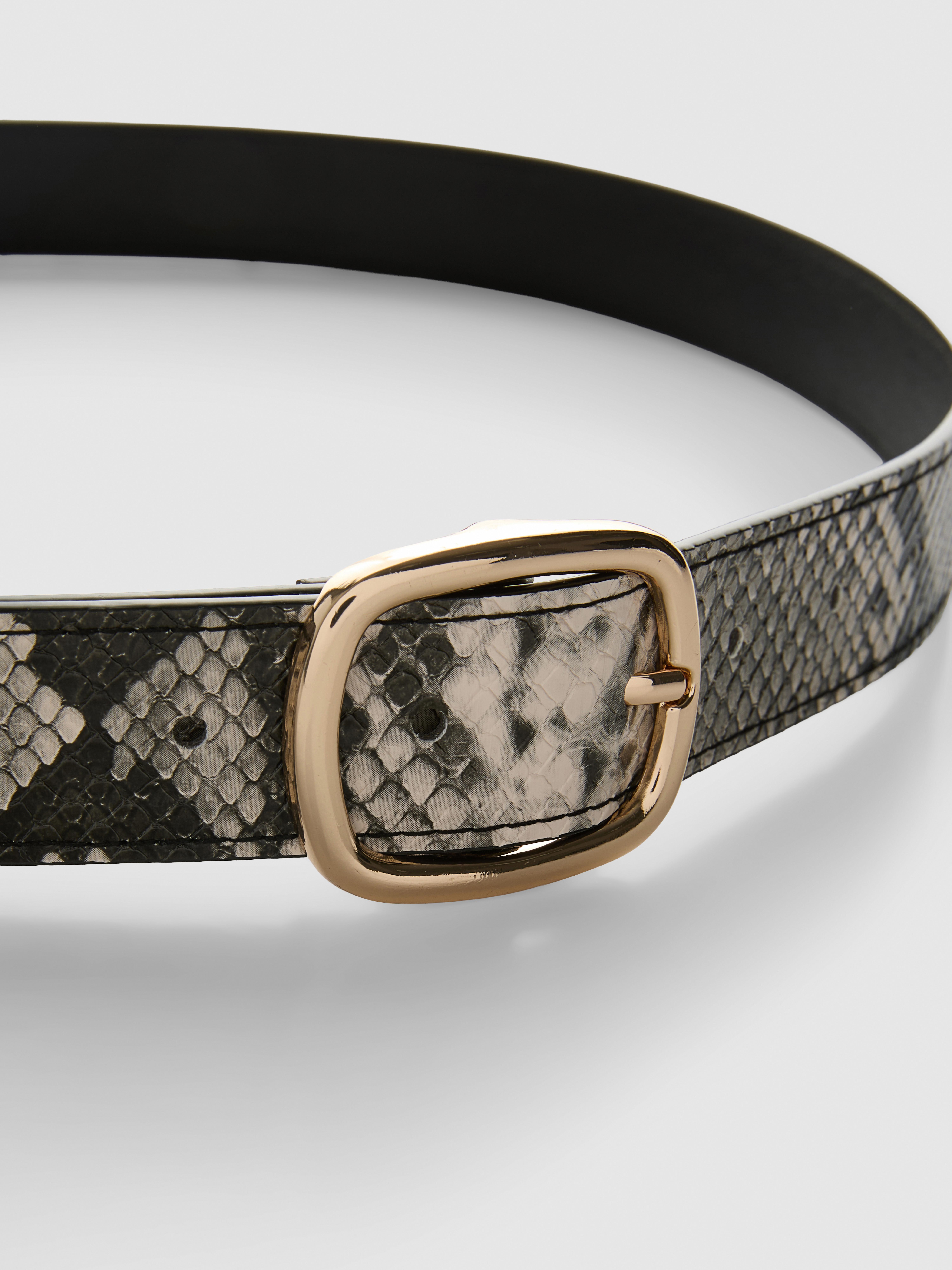 Rounded Buckle Belt