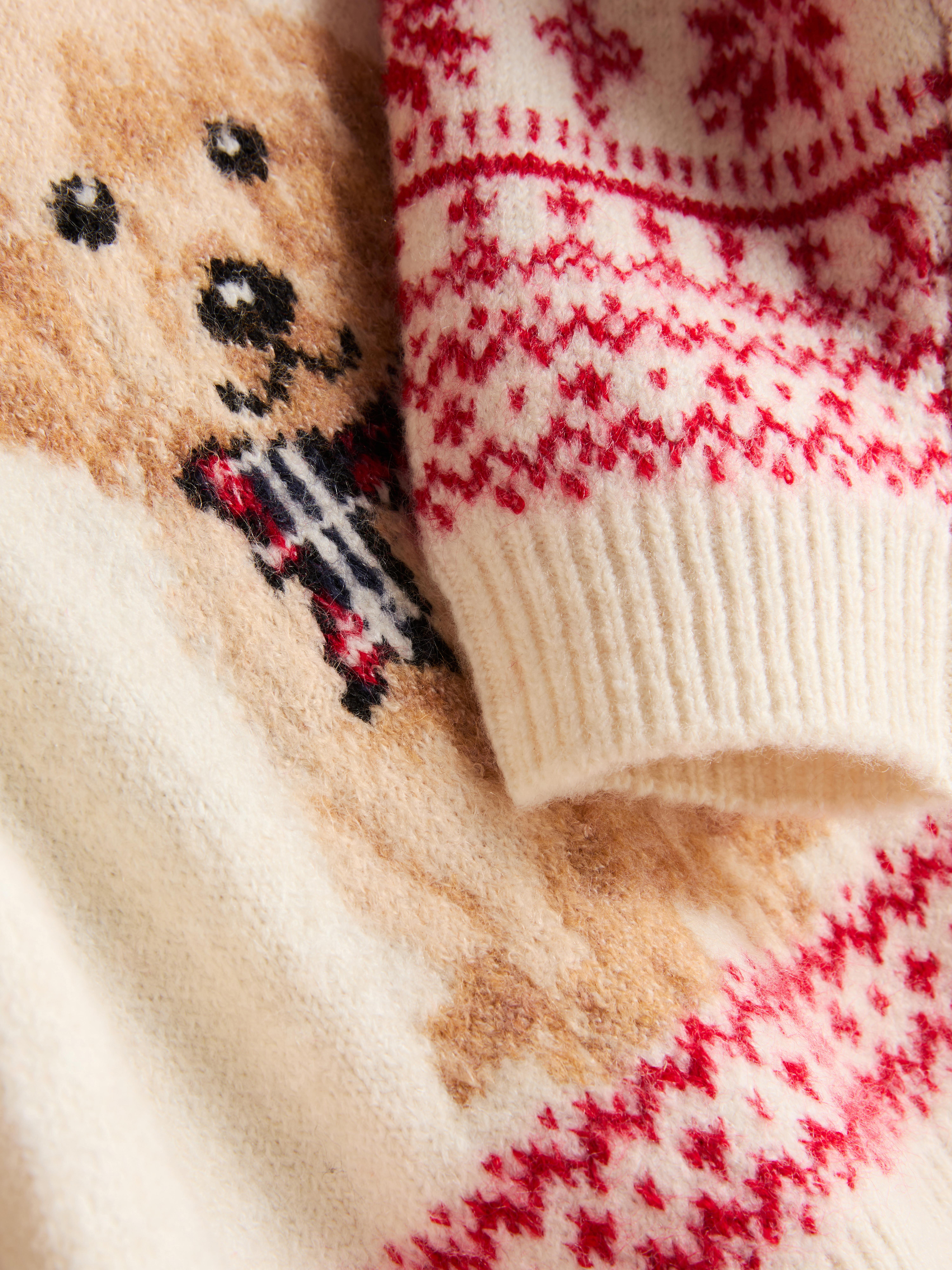 1-12yrs | Dog Fair Isle Family Christmas Sweater