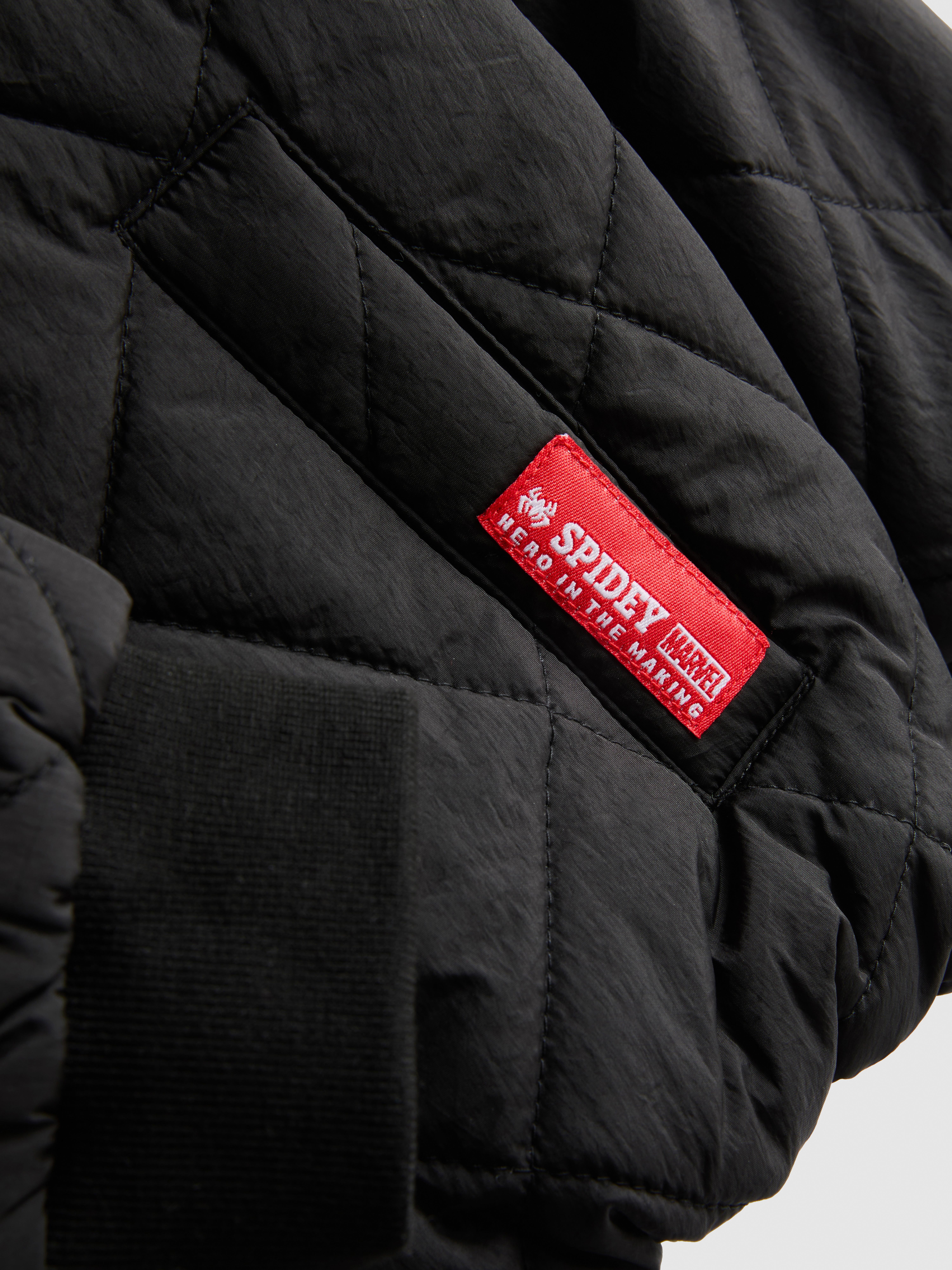 1-9 ans | Veste matelassée MARVEL Spider-Man - Noir - Garçons | Primark