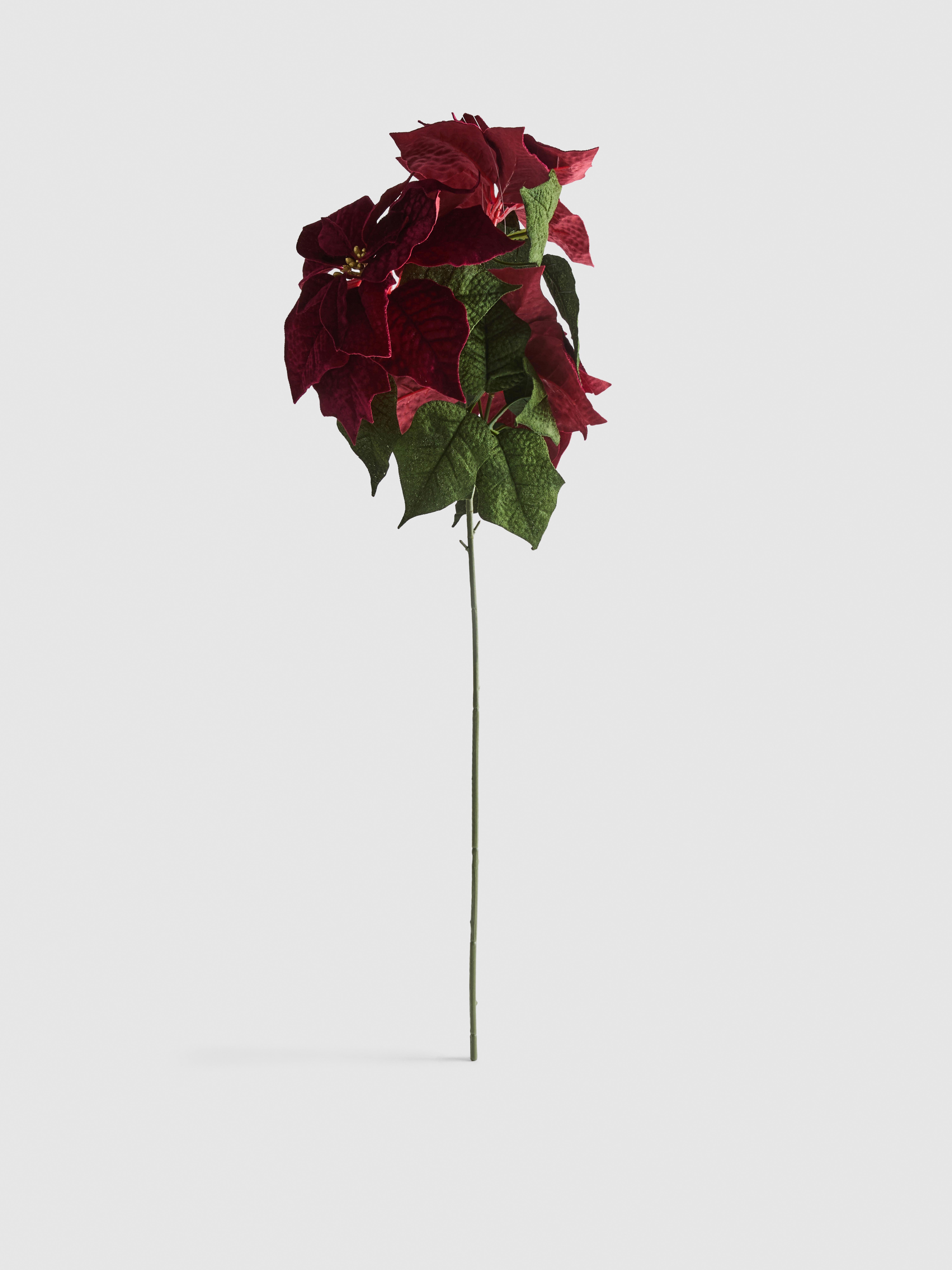 Imitatie-kerststertak