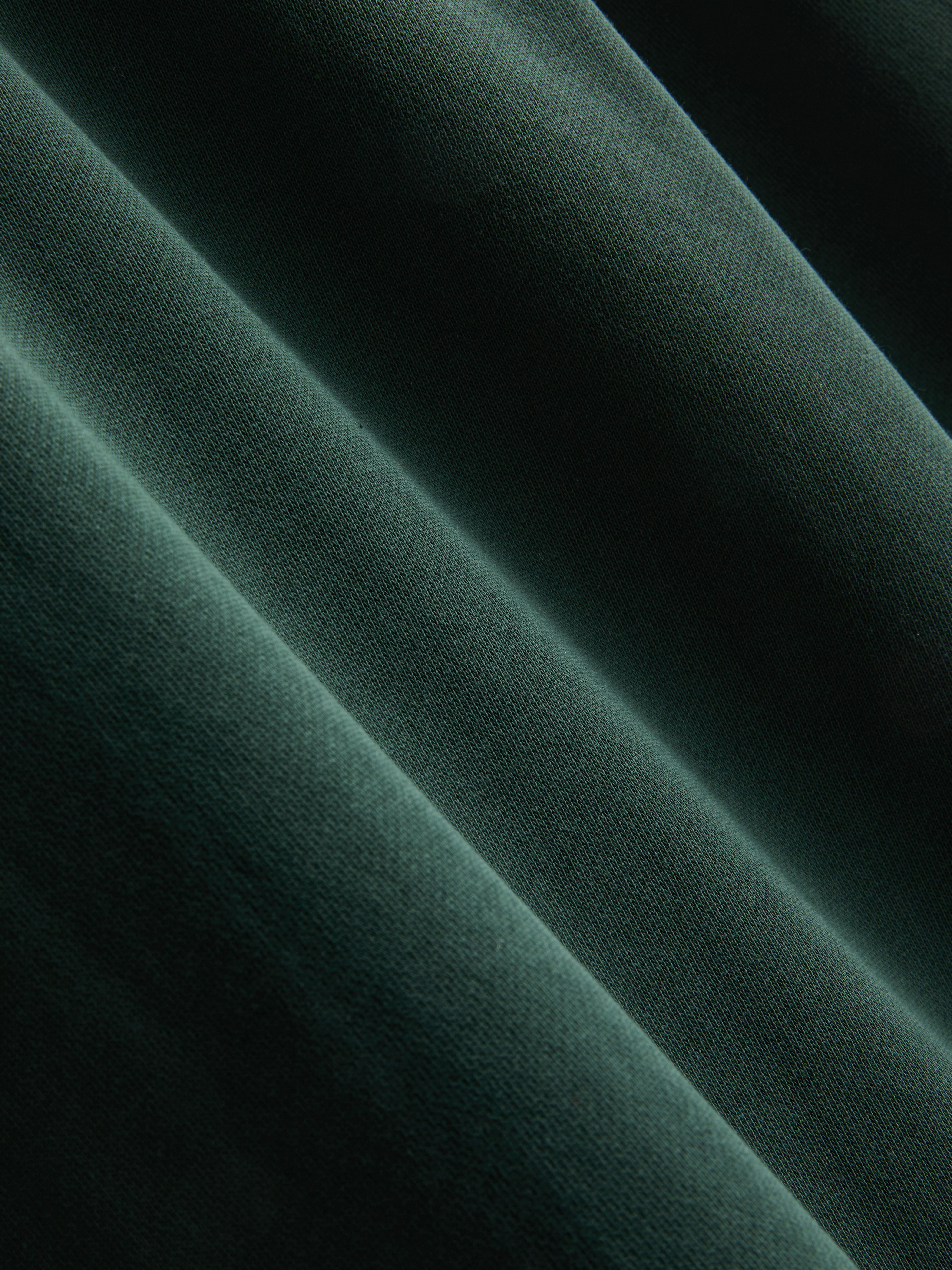 Rugbyshirt met contrastkraag en lange mouwen - Groen - Heren | Primark