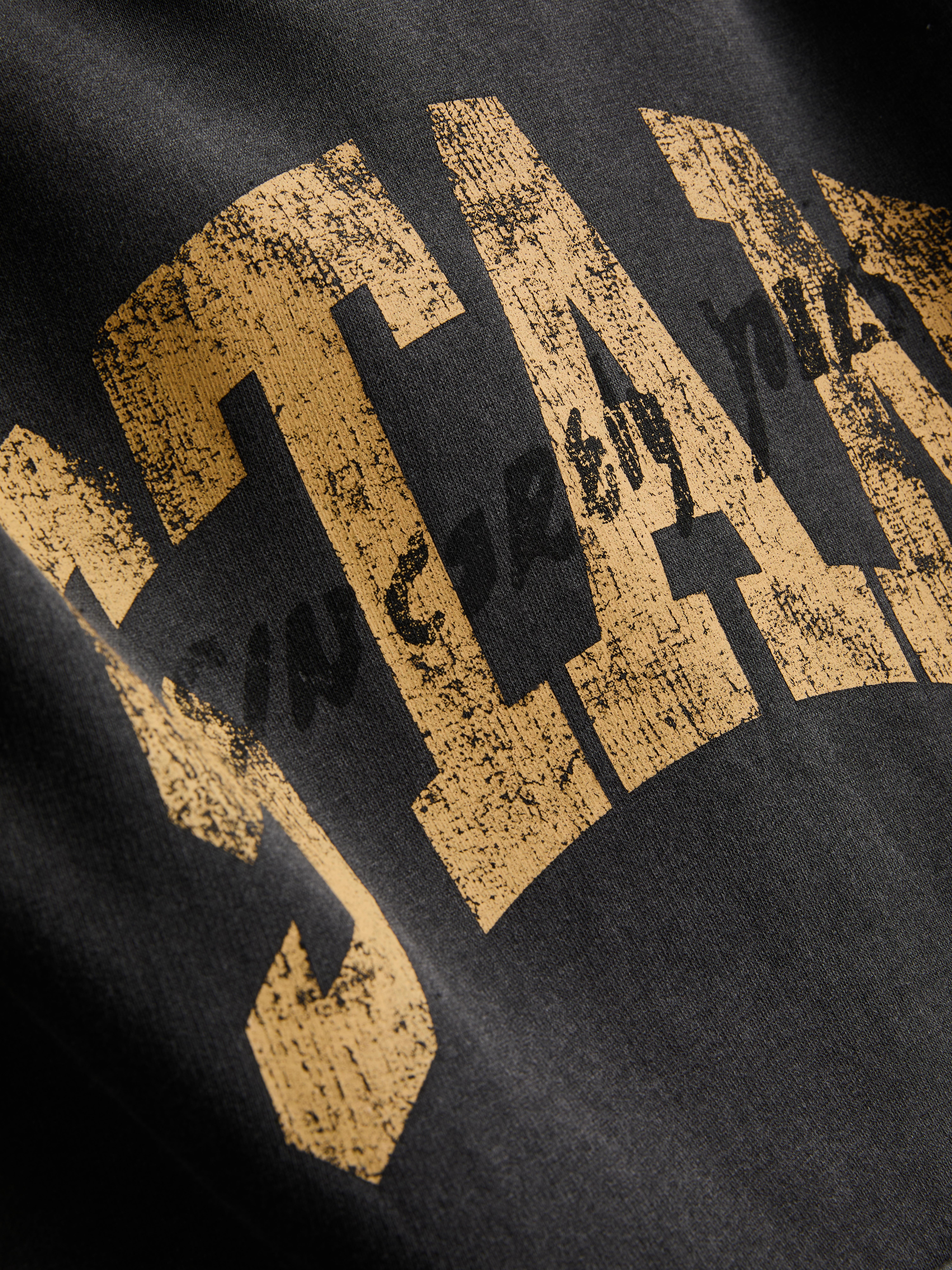 Eminem Cotton-Rich Stan Hoodie