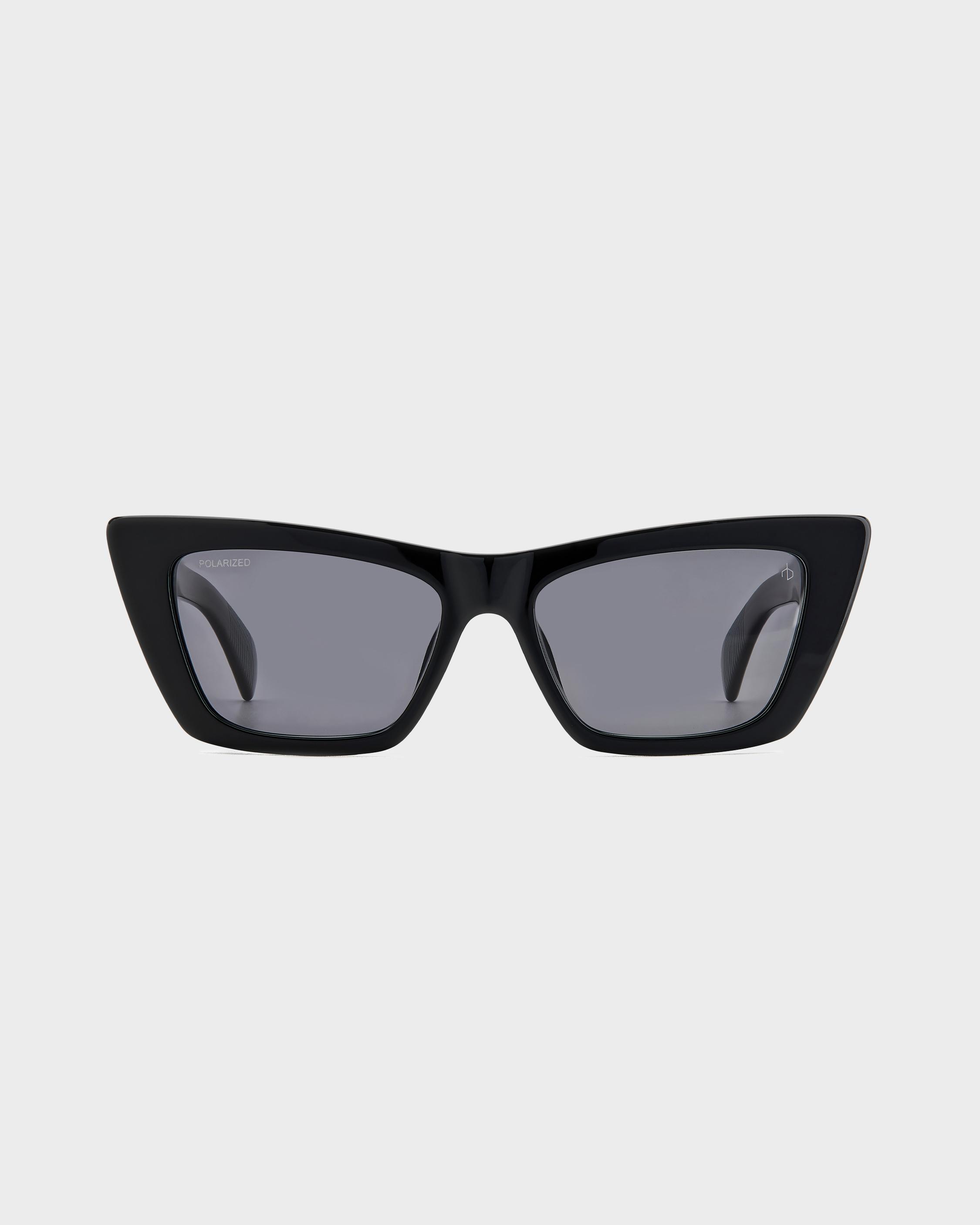 Black Delphine Cat Eye Sunglasses | rag & bone