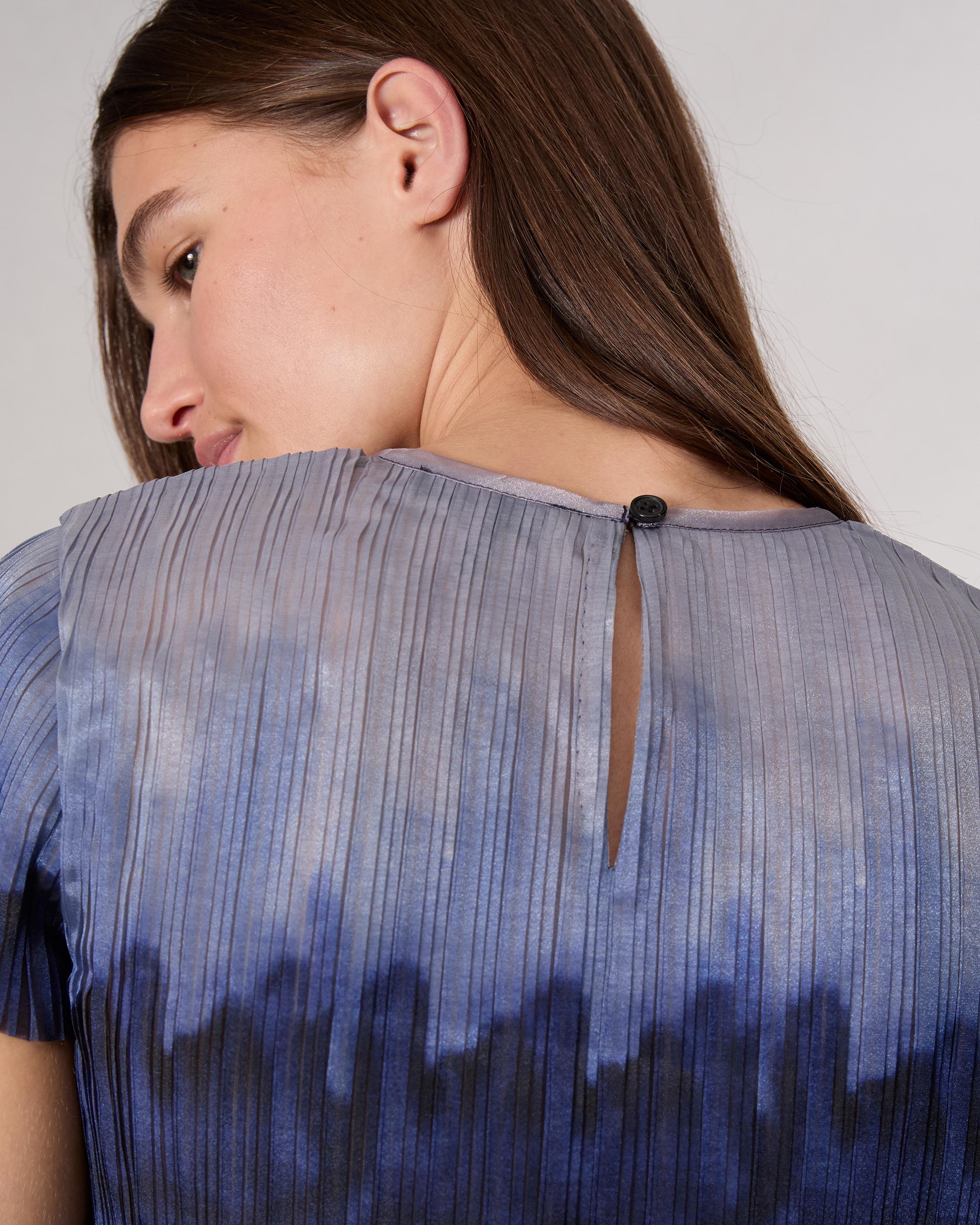 Hailey Ombre Organza Top image number 6