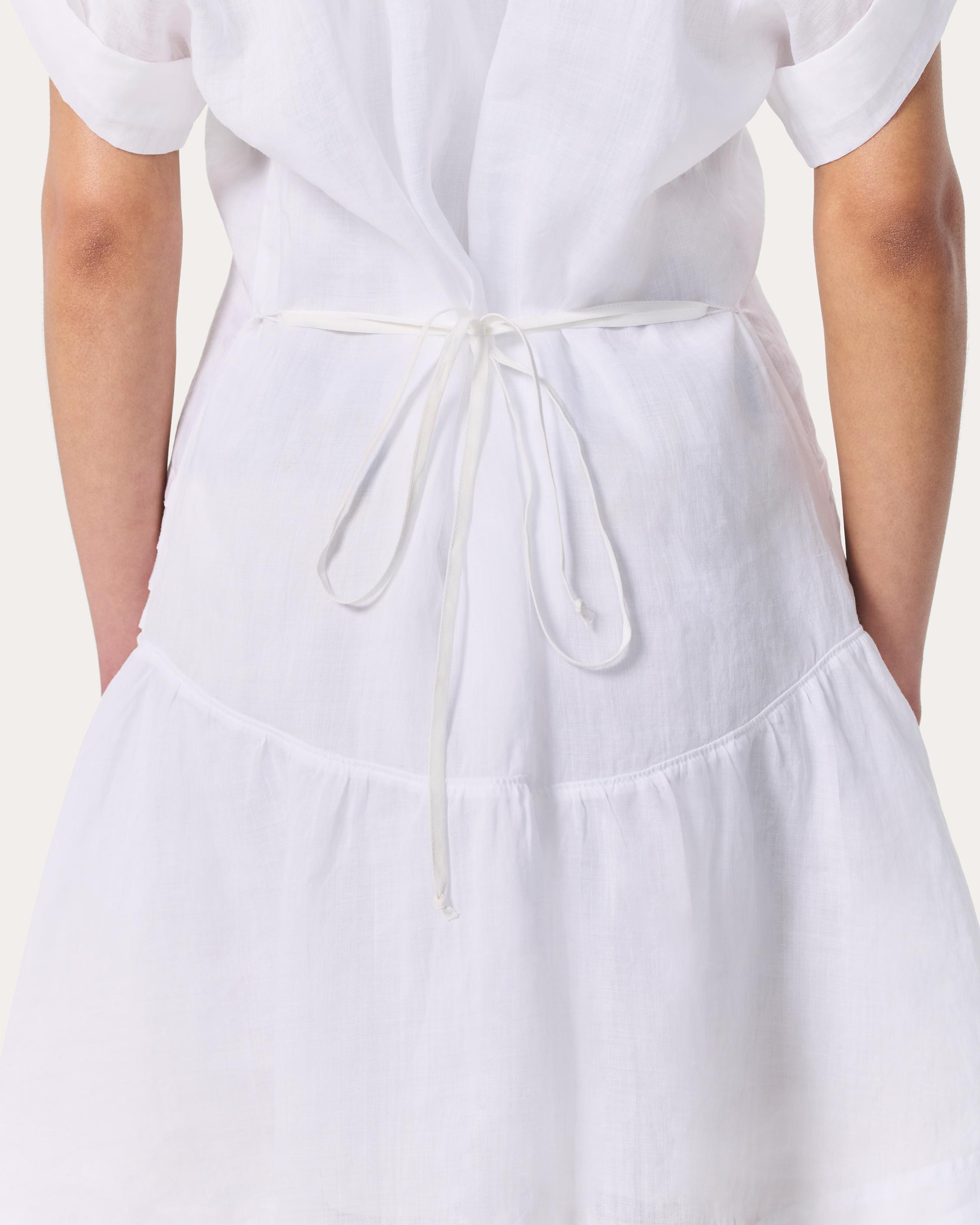 Viviana Pintuck Dress - image 5