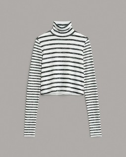 Knit Stripe Long Sleeve Turtleneck image number 2