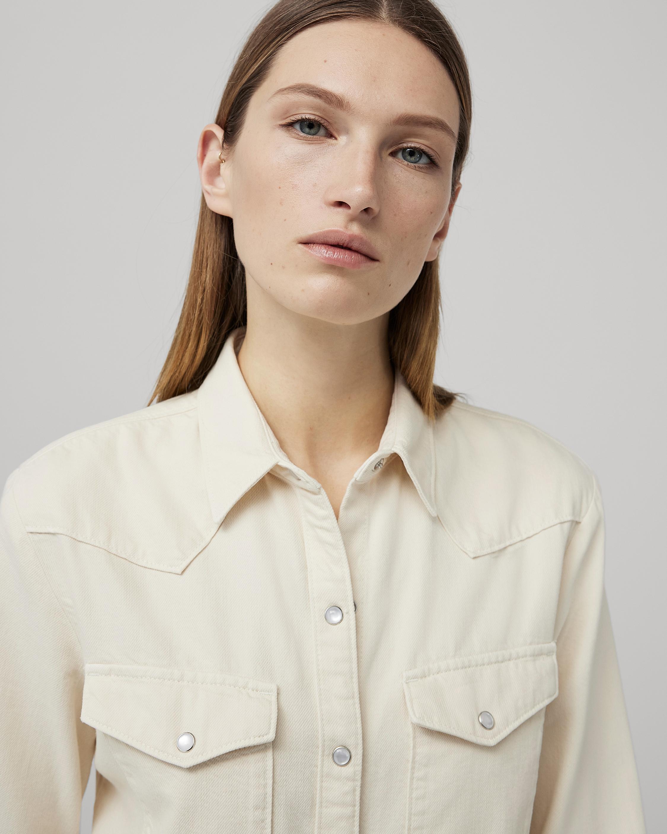 Rag and store bone button down