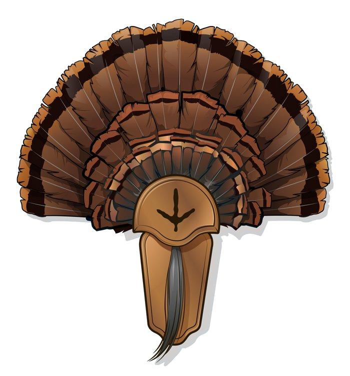 Three wild turkey gobblers display their tail feathers Fleece Blanket