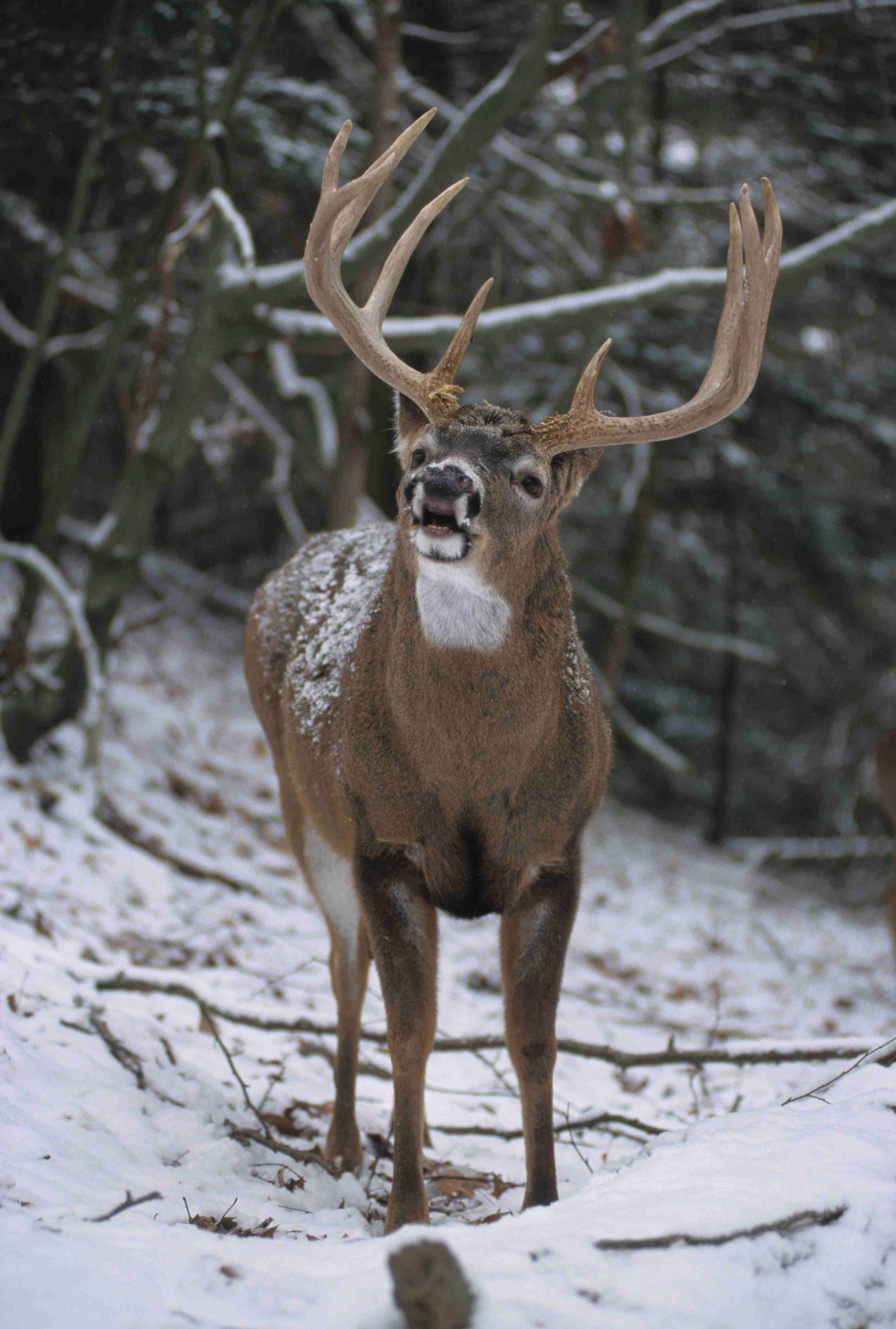 Once a spike, always a spike? Nah.