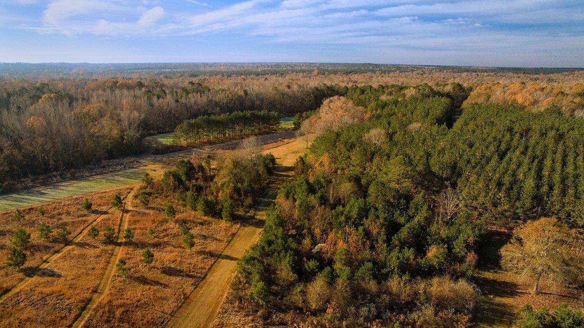 What you do today to improve dirt for wildlife often takes years to pay dividends. It requires planning, thought and commitment. (Tes Randle Jolly)