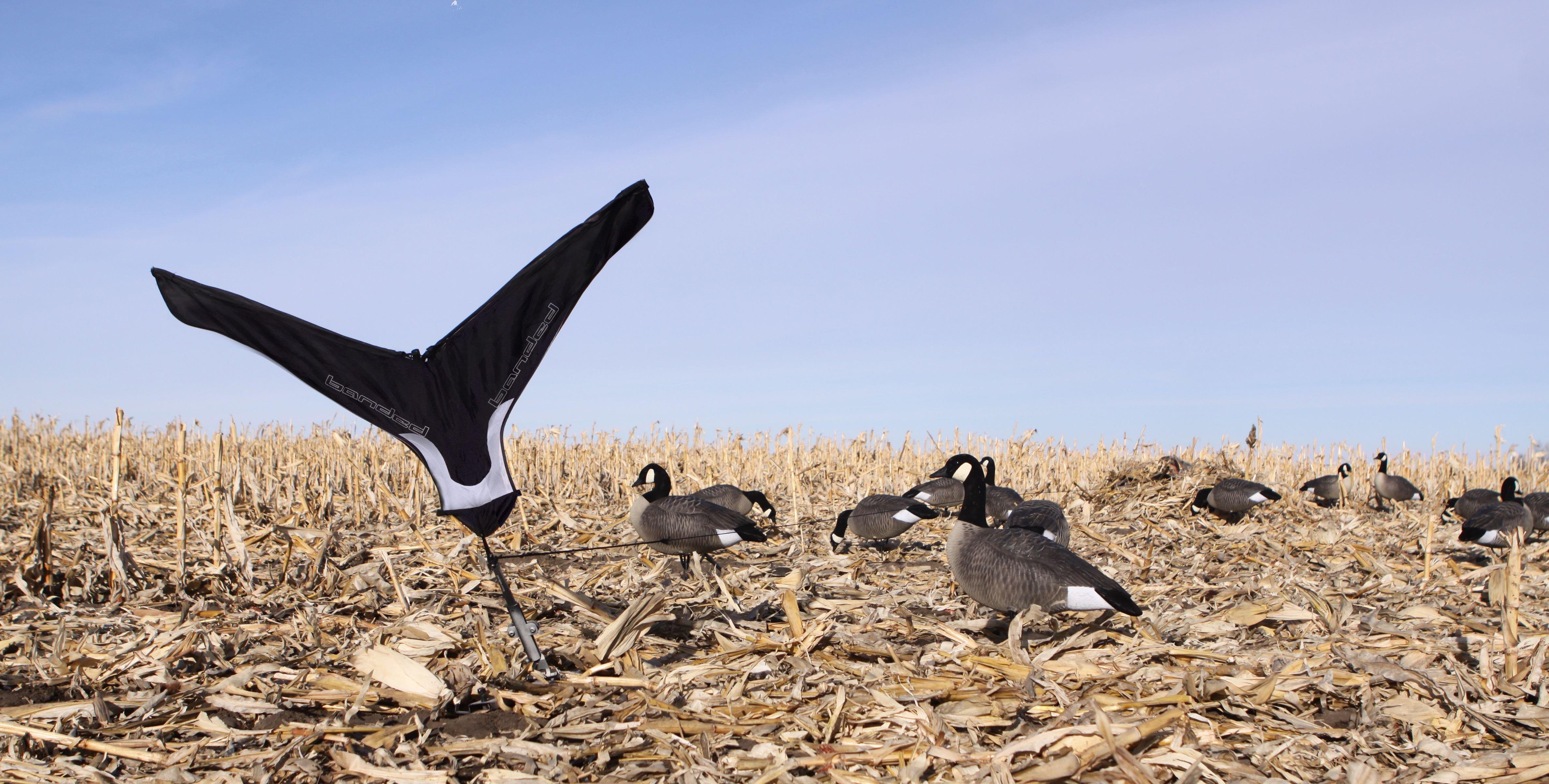 Banded Jerk Flag System