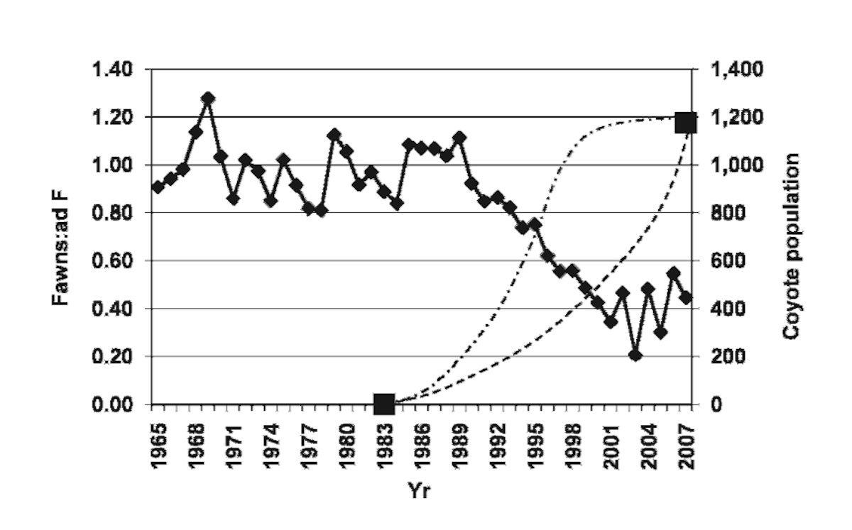 Findings from a 2010 study suggest that rising coyote populations can directly impact fawn-recruitment rates. (U.S. Forest Service / SCDNR graph)