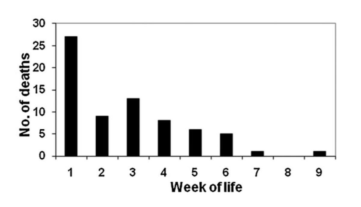 Fawns are at the greatest risk of predation during the first four weeks of life. (U.S. Forest Service / SCDNR graph)
