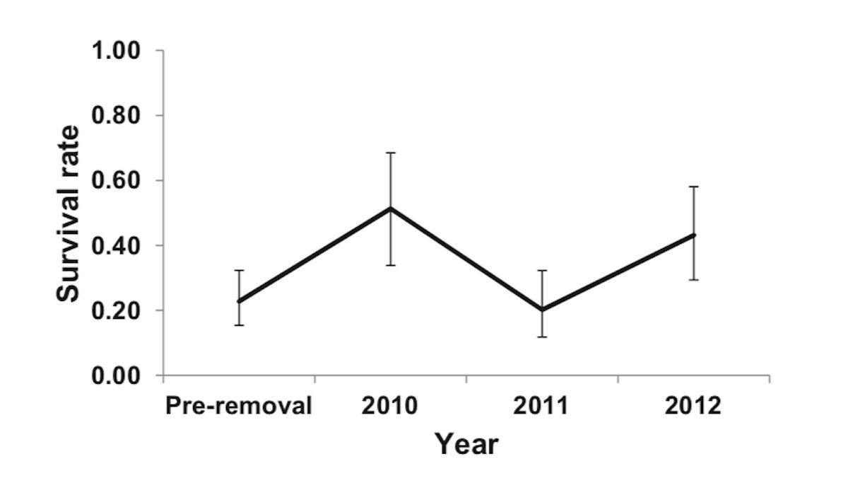 In 2014, researchers measured whether or not removing coyotes can increase fawn-recruitment rates. The study yielded mixed results. (U.S. Forest Service / SCDNR graph)