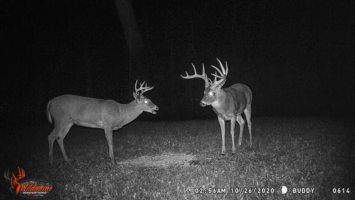 While the big buck was a regular on trail cameras, he never appeared in the daylight.