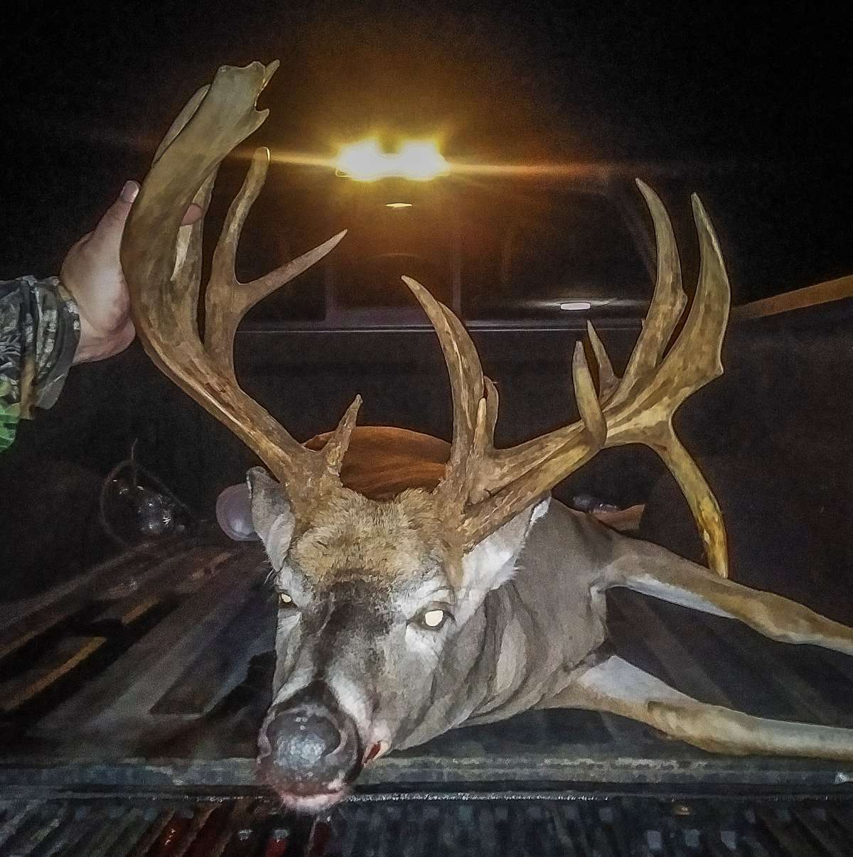 Ricky plans on having a full body mount done of the buck. Image by Ricky Daugherty 
