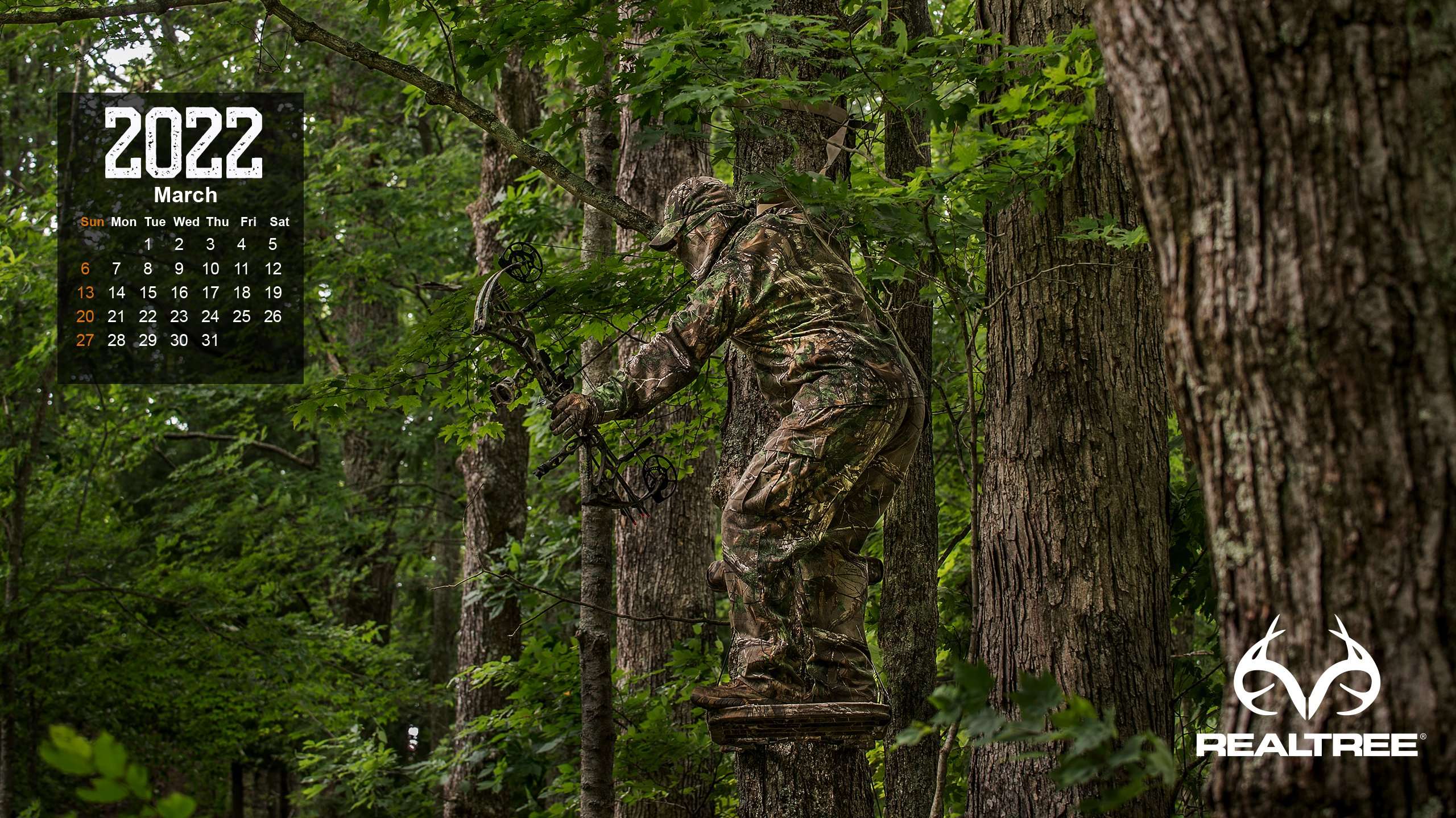 Team Realtree Achtergrond New Realtree Timber™ Pattern Ready To