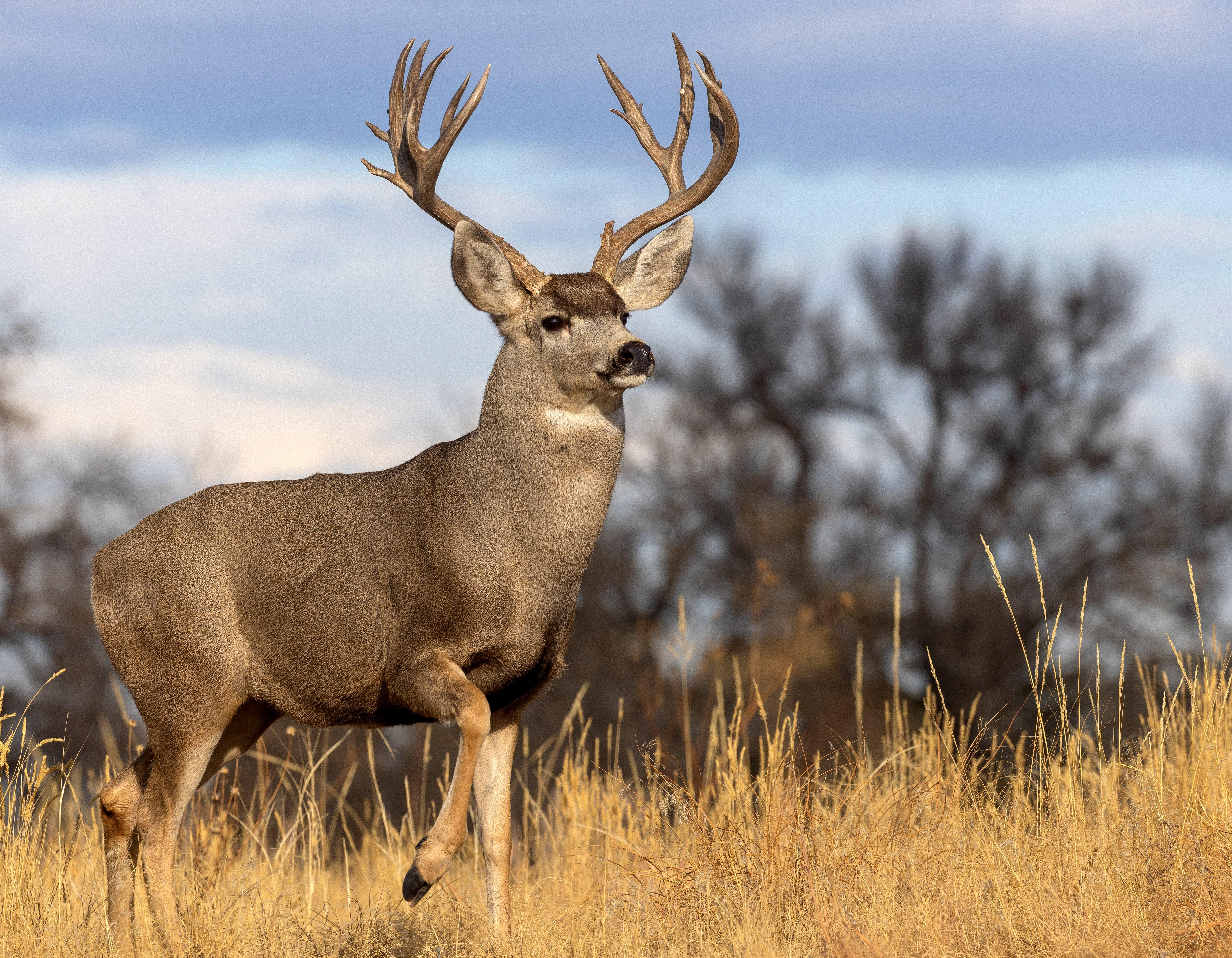 Image: 270_100_years_3