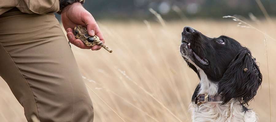 As usual, this buck looks even bigger in velvet. Image courtesy of Kyle Culbreth As usual, this buck looks even bigger in velvet. Image courtesy of Kyle Culbreth