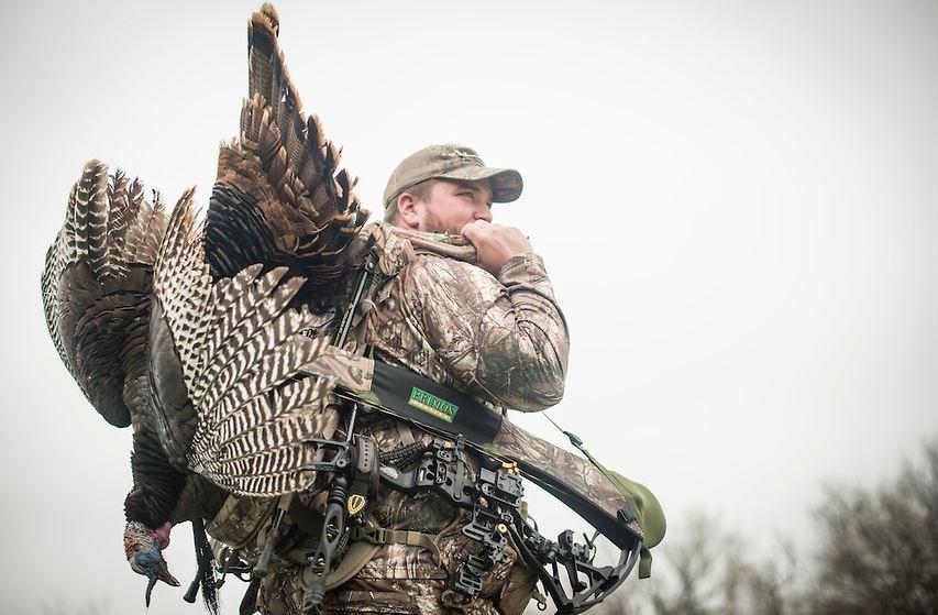 First, you need turkeys to hunt. And then . . . (Realtree/John Hafner/Heartland Bowhunter photo)