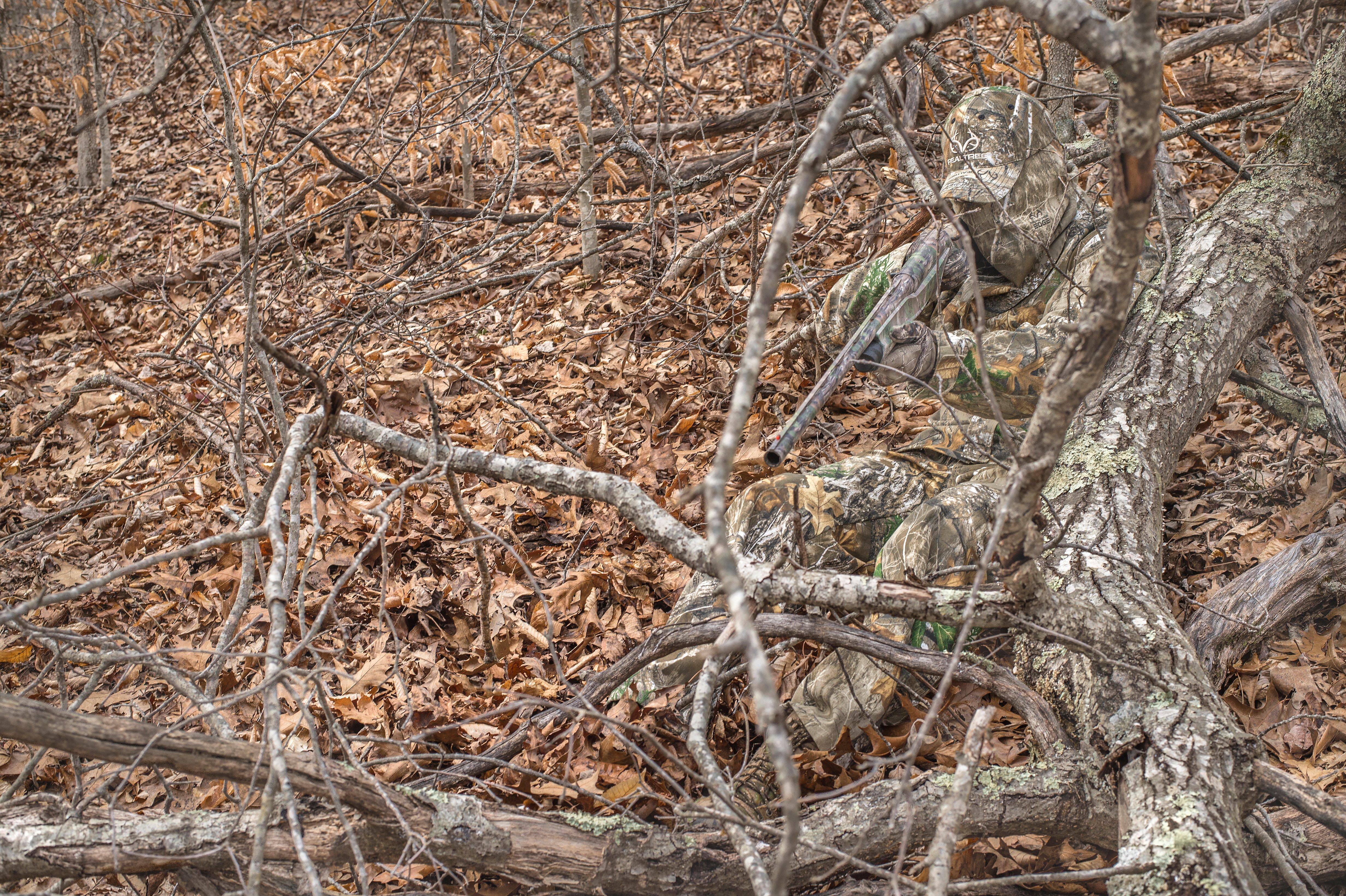 Image: 40_turkey_edge_8