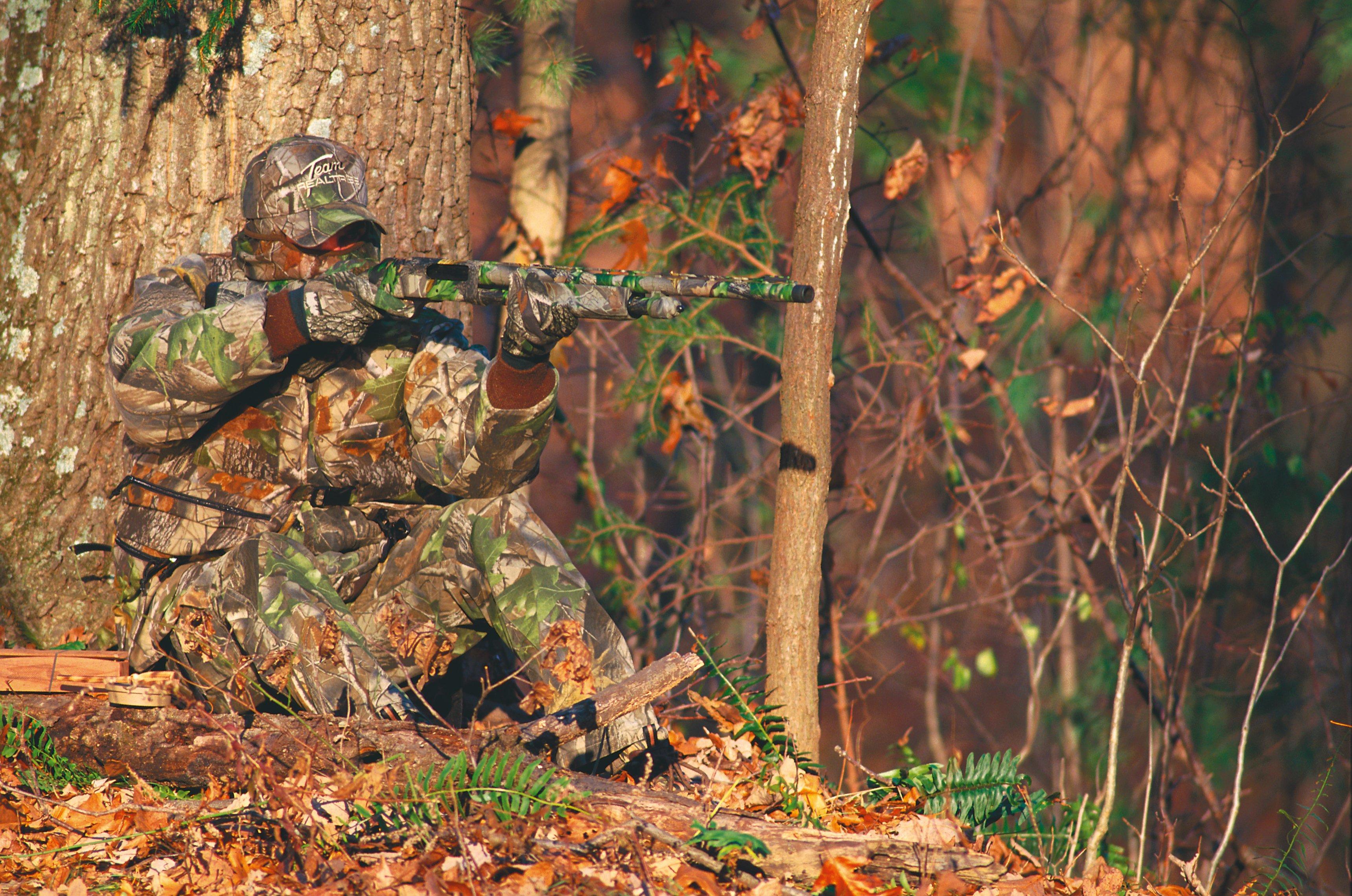 Image: 40_turkey_hardwoods_green_4