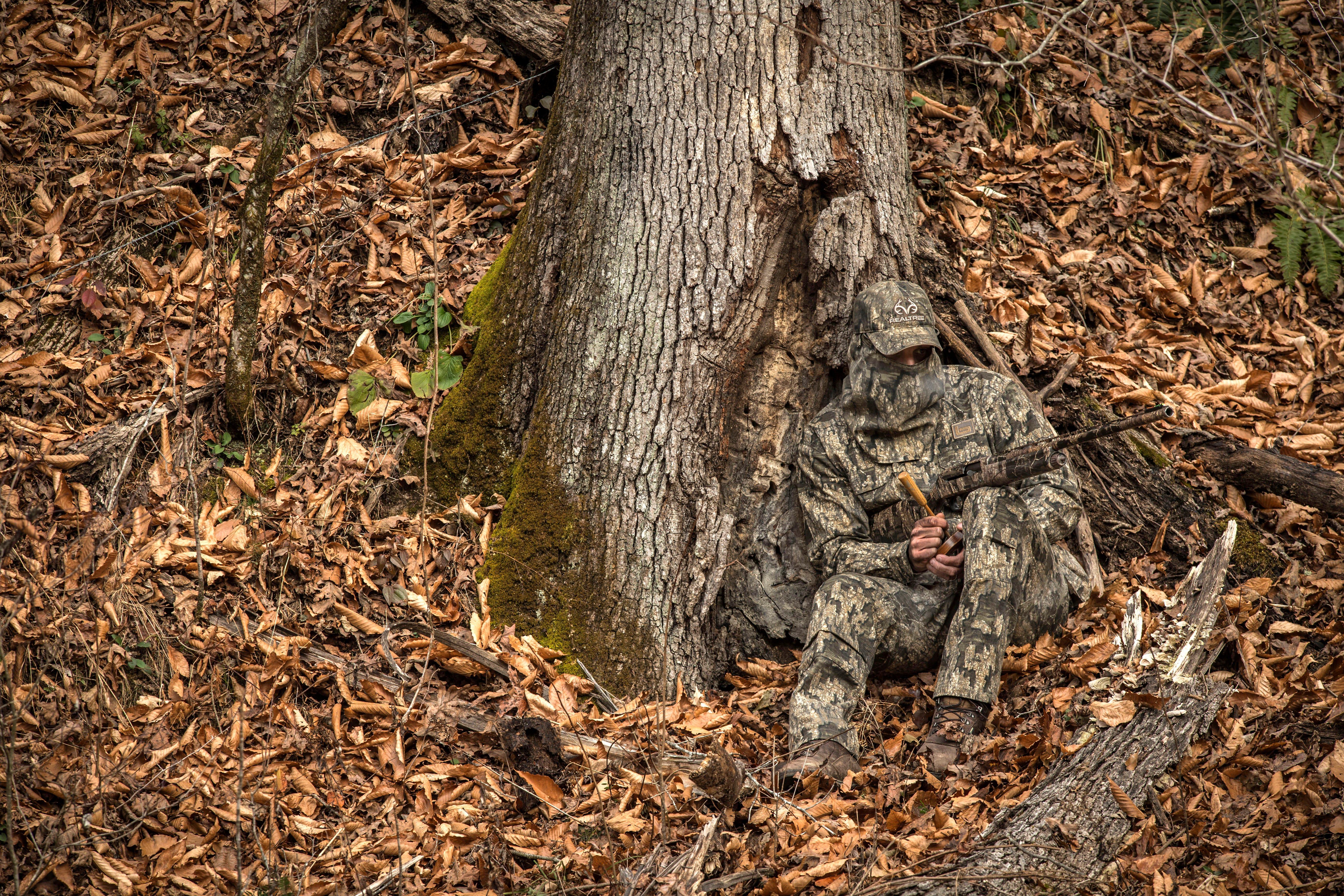 Image: 40_turkey_timber_3