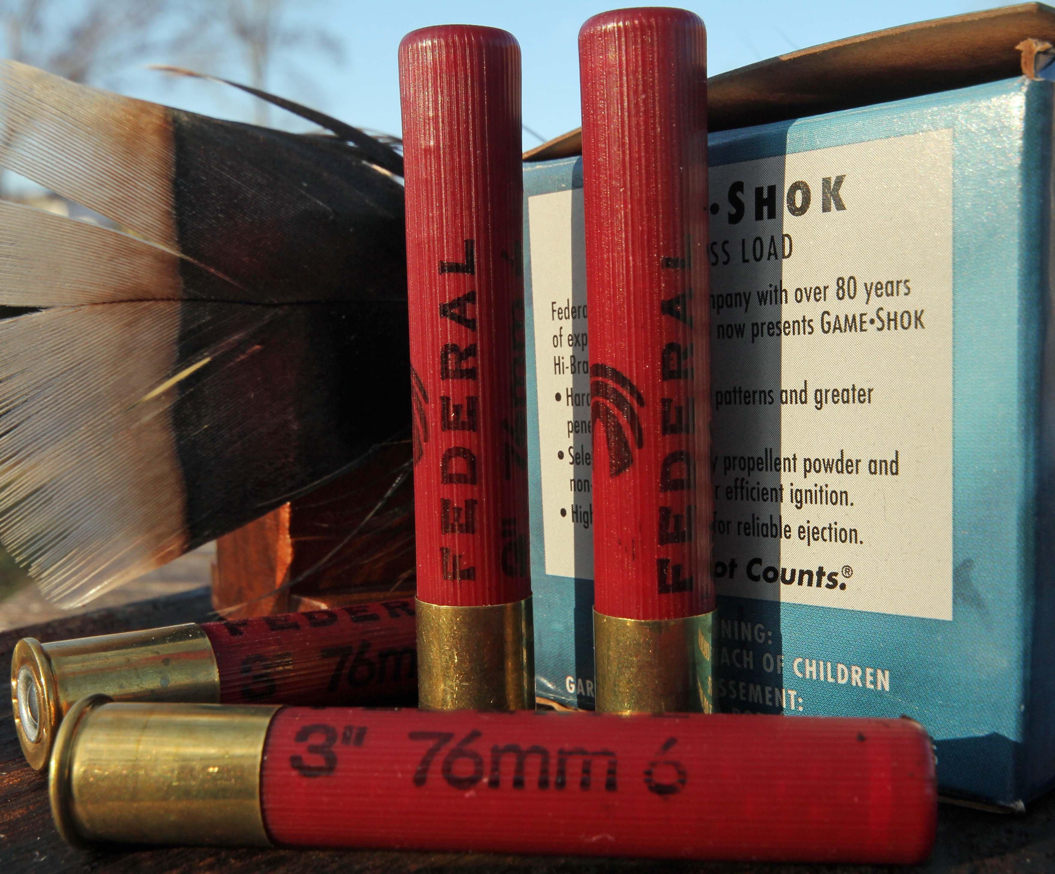 410 Shotgun Shells