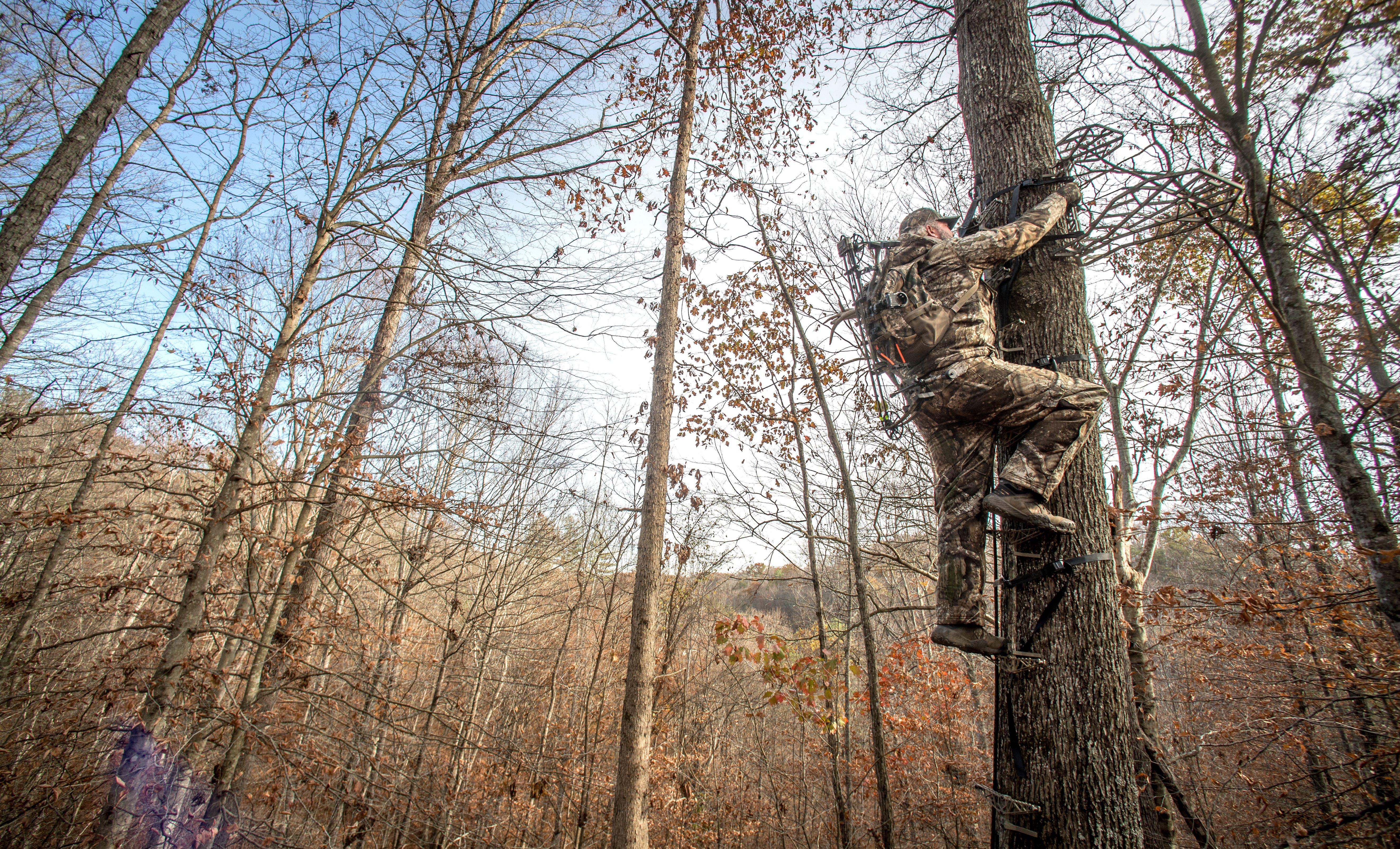 Image: 4_week_plan_1