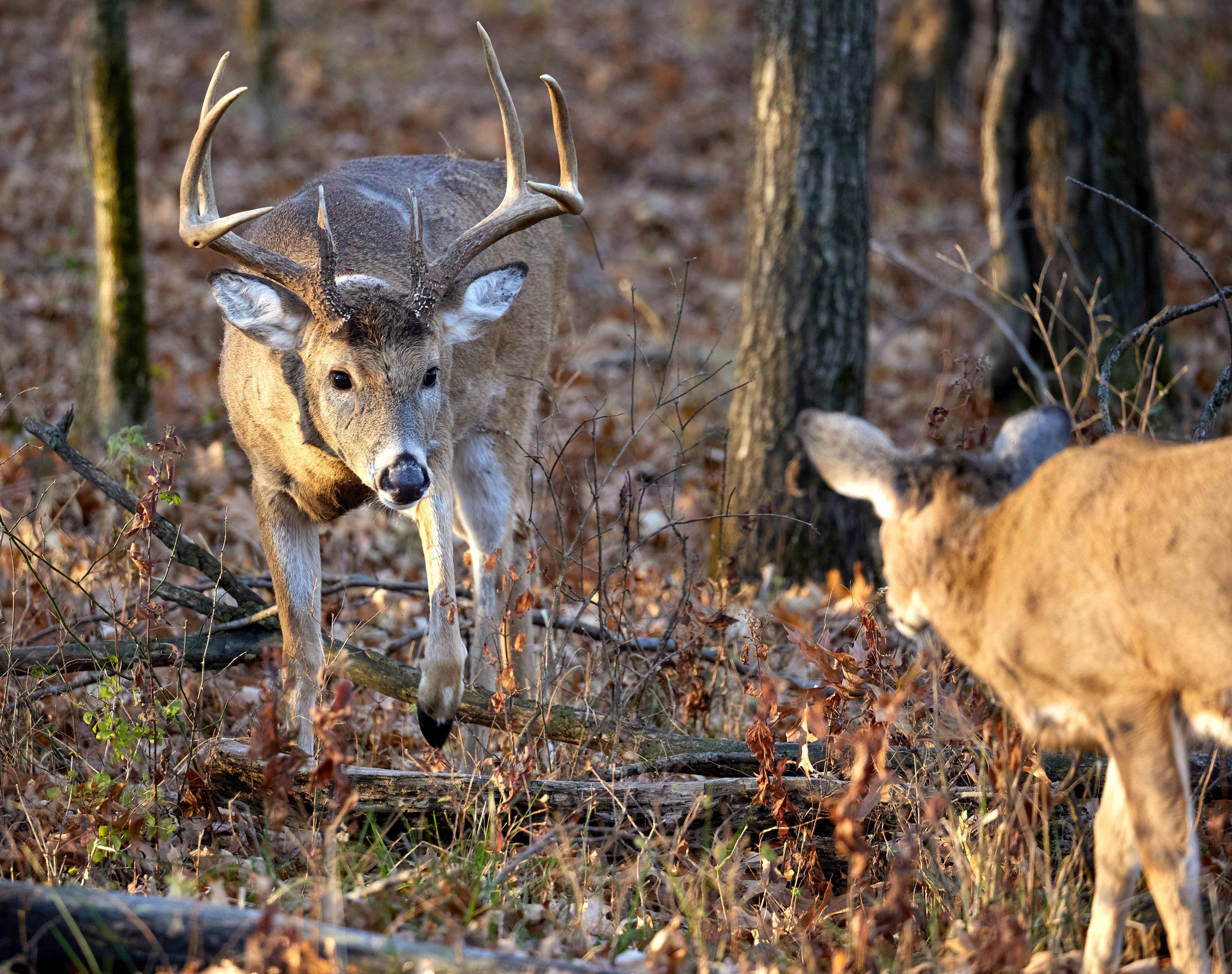 Image: 4_week_plan_10