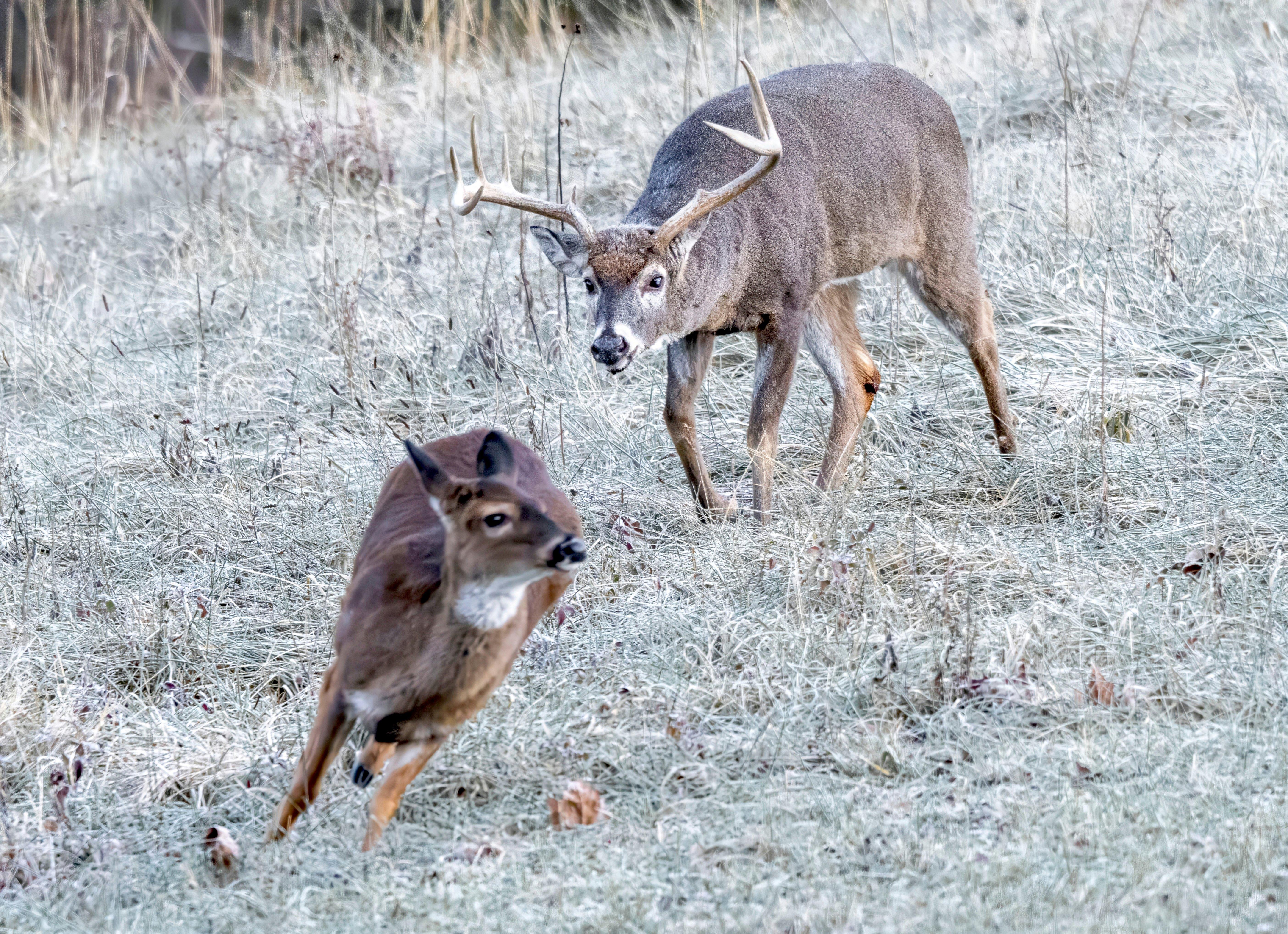 Image: 4_week_plan_5