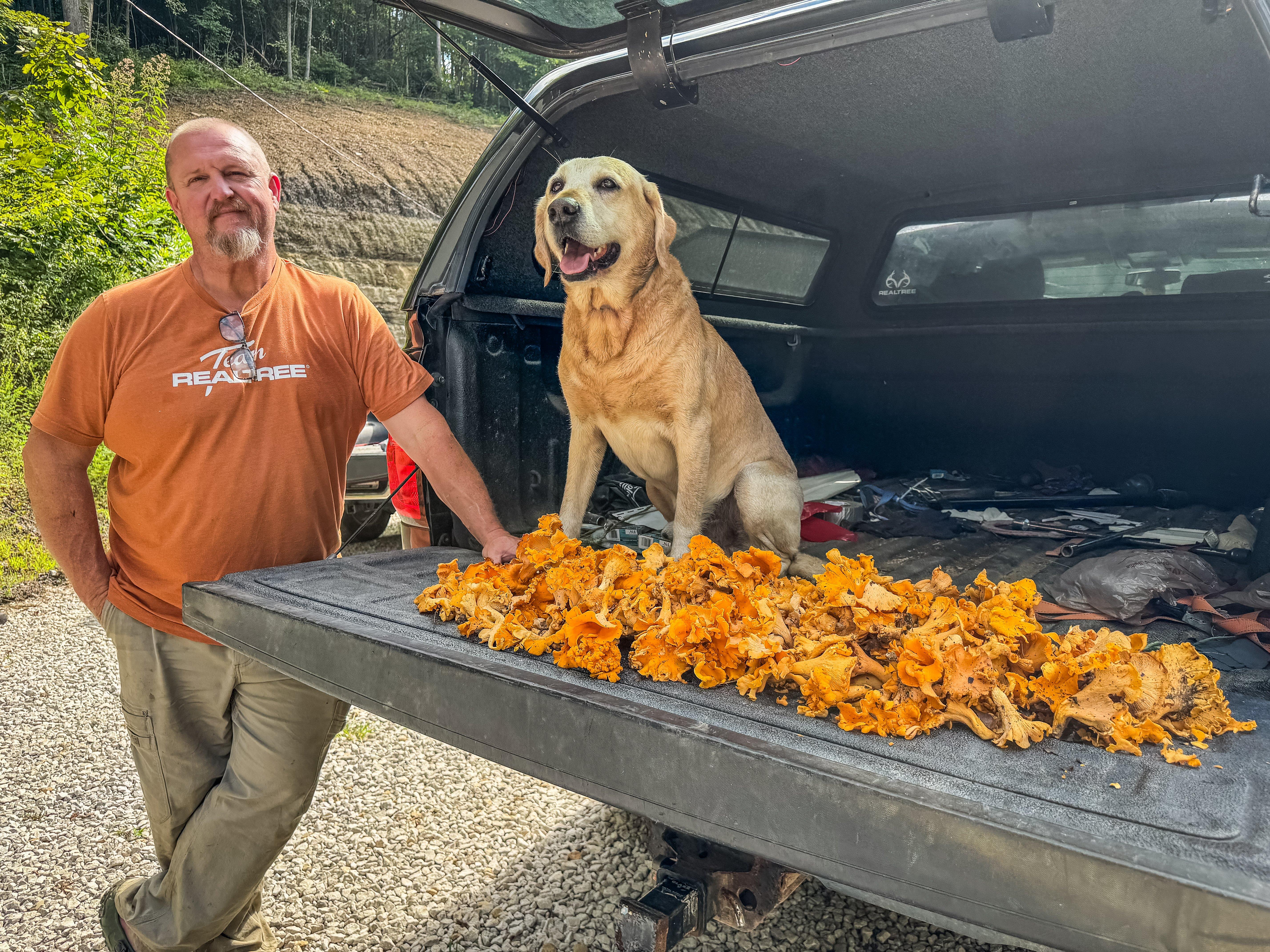 Image: 5_reason_chanterelles_10