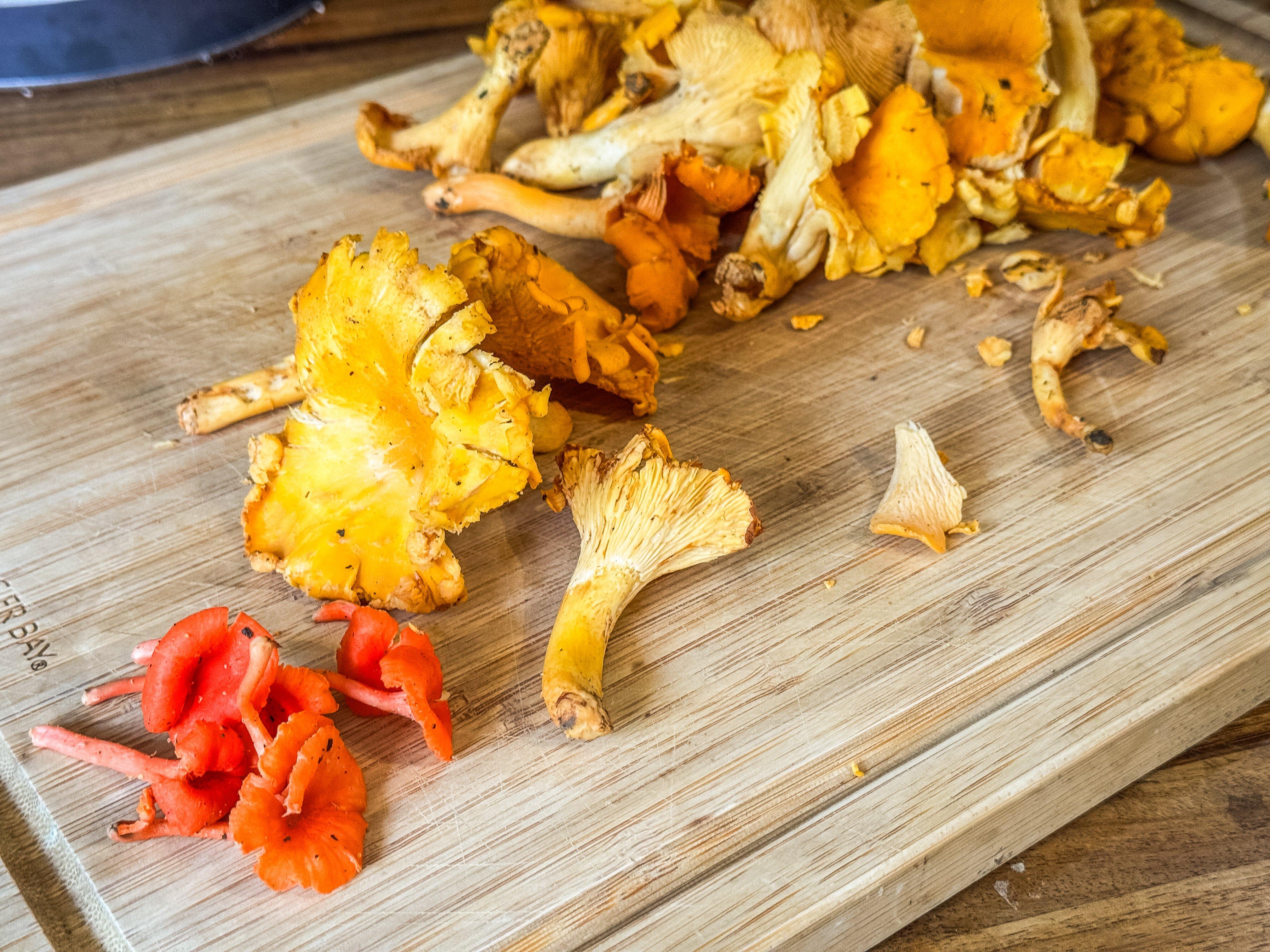 Image: 5_reason_chanterelles_2