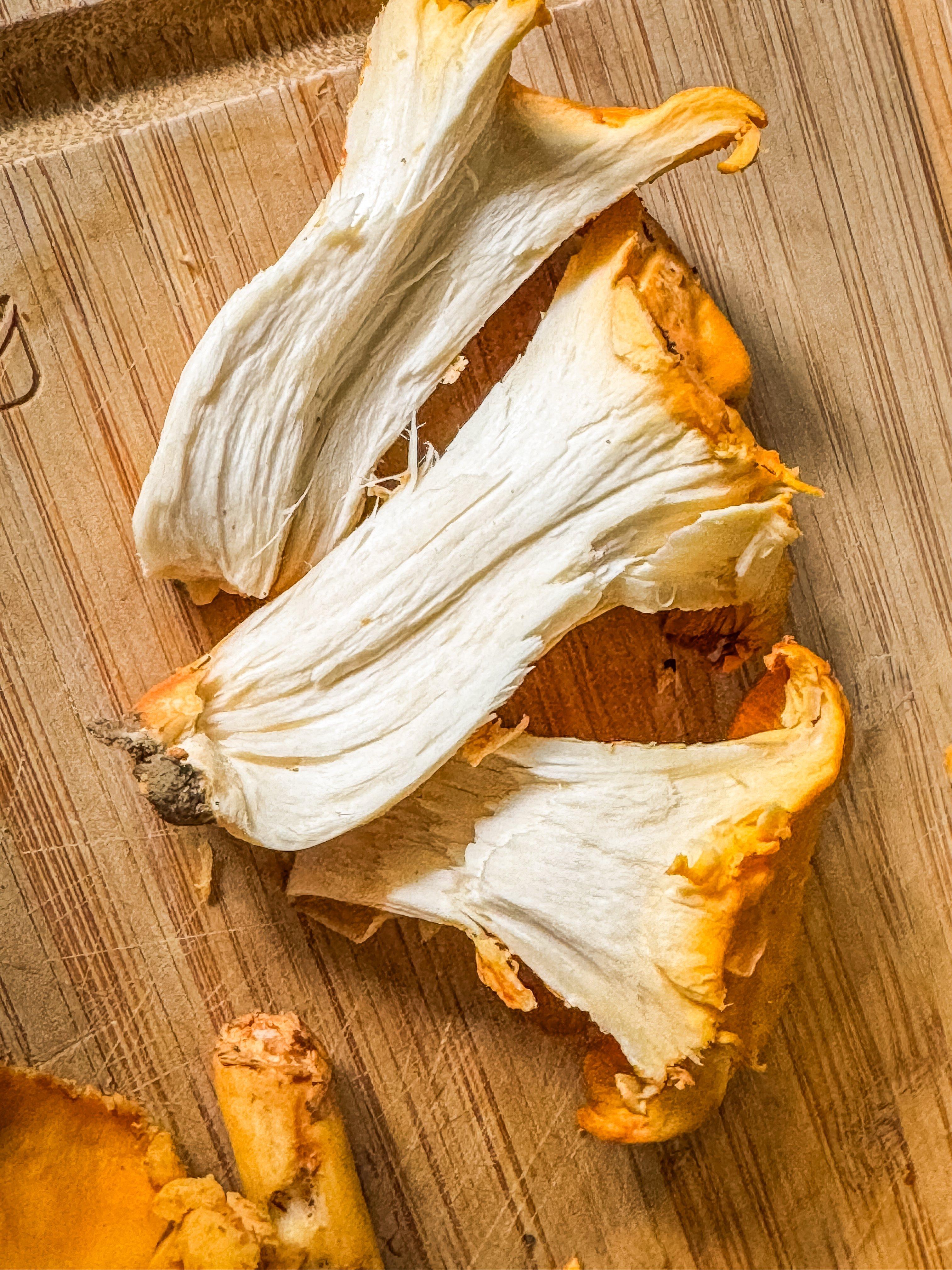 Image: 5_reason_chanterelles_3