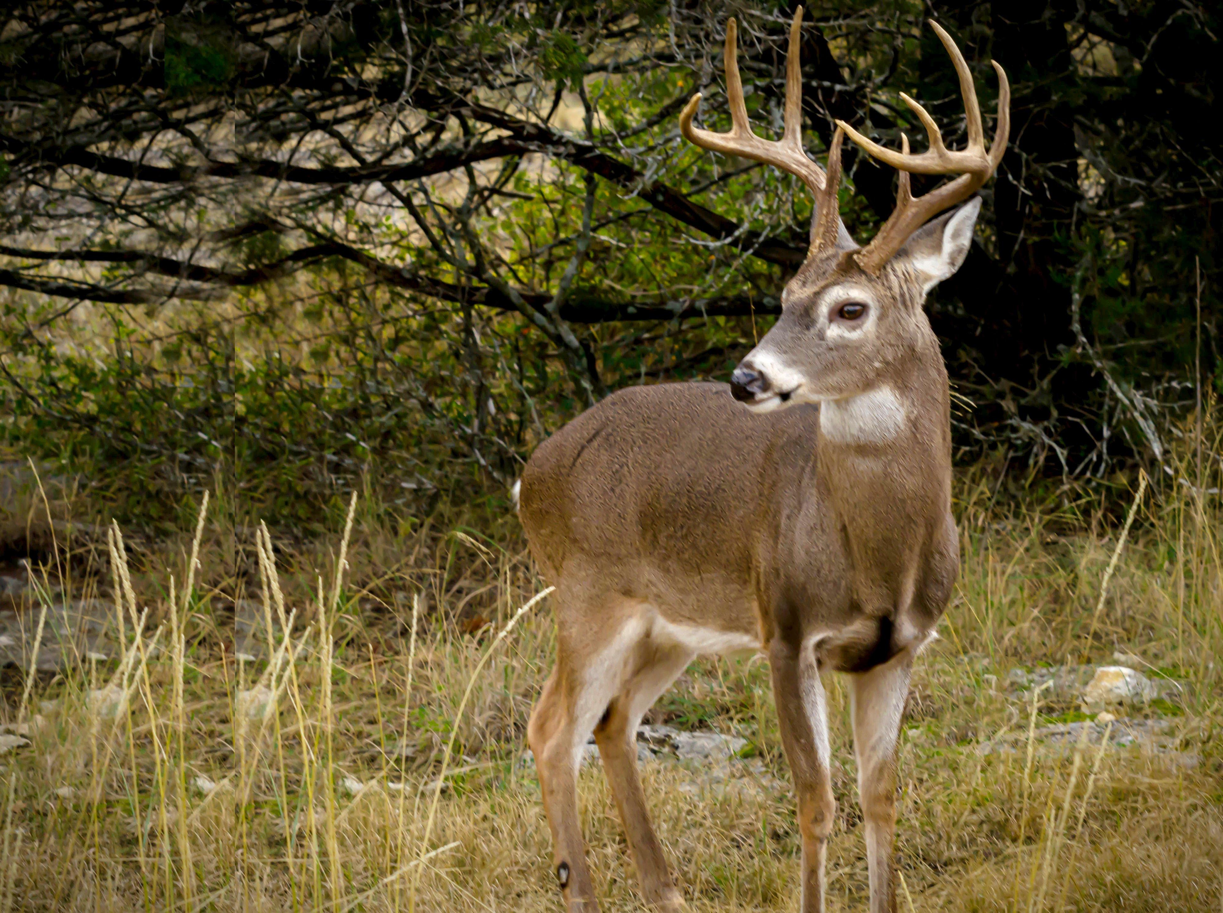 Image: 5_things_i_was_wrong_1