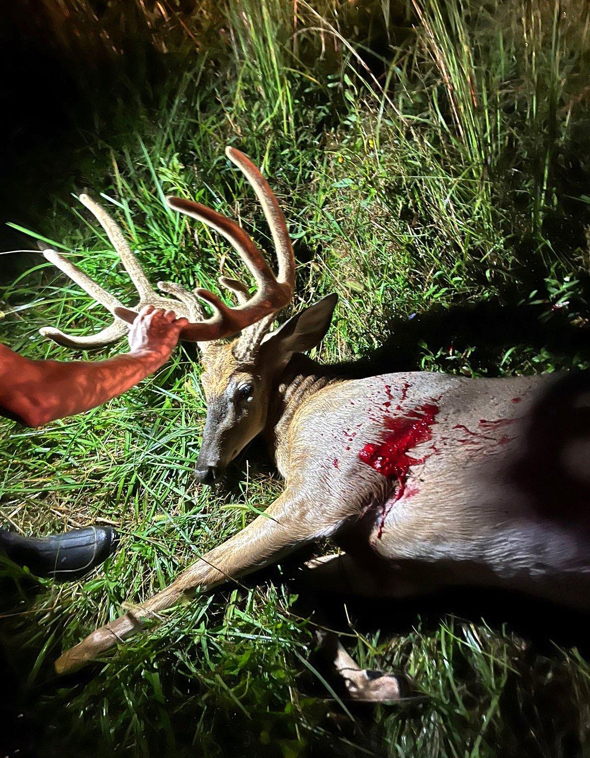 The clean 5x4 had a 20-inch inside spread and 13-inch G2s. 