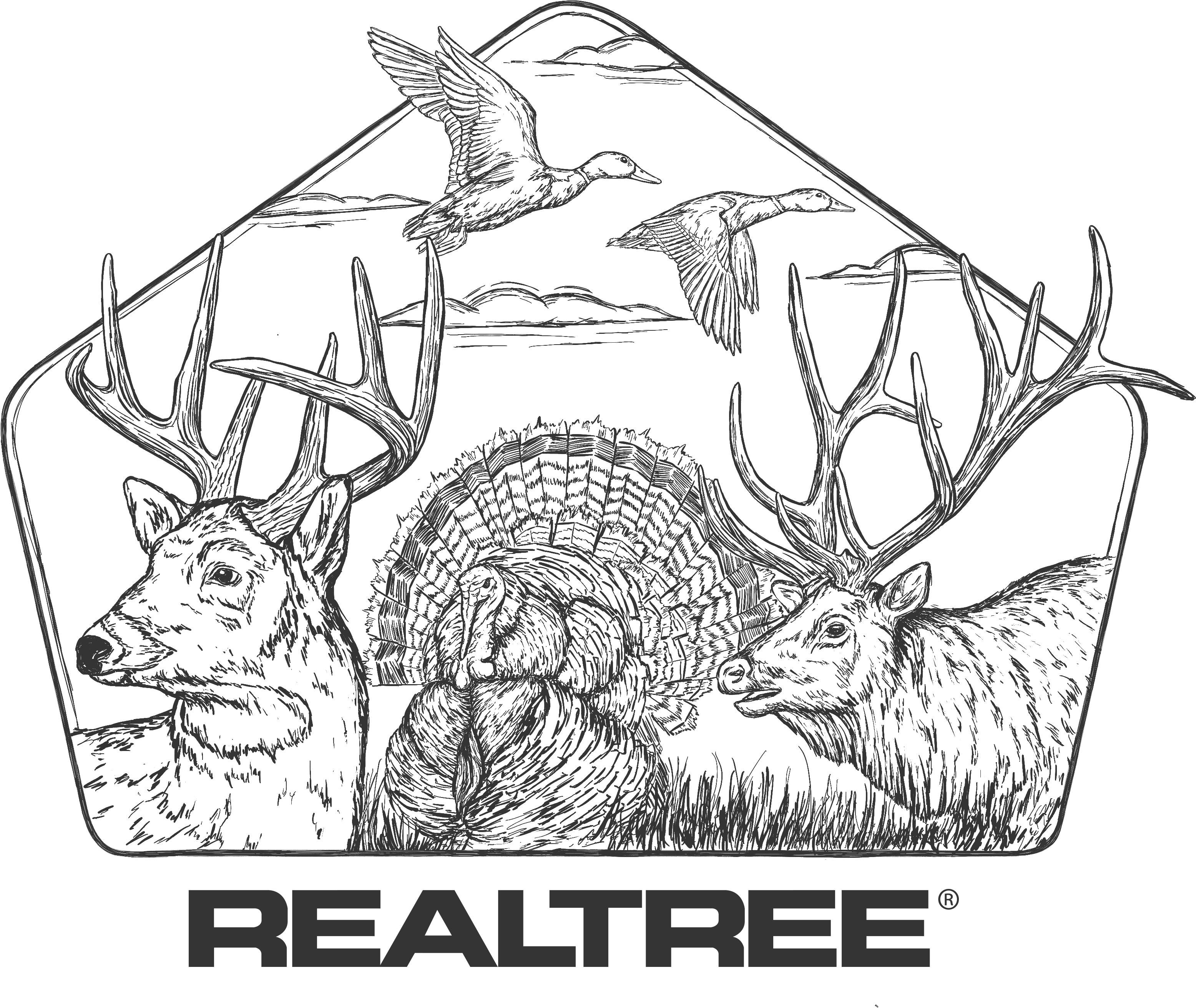 Image - RT Coloring Page All