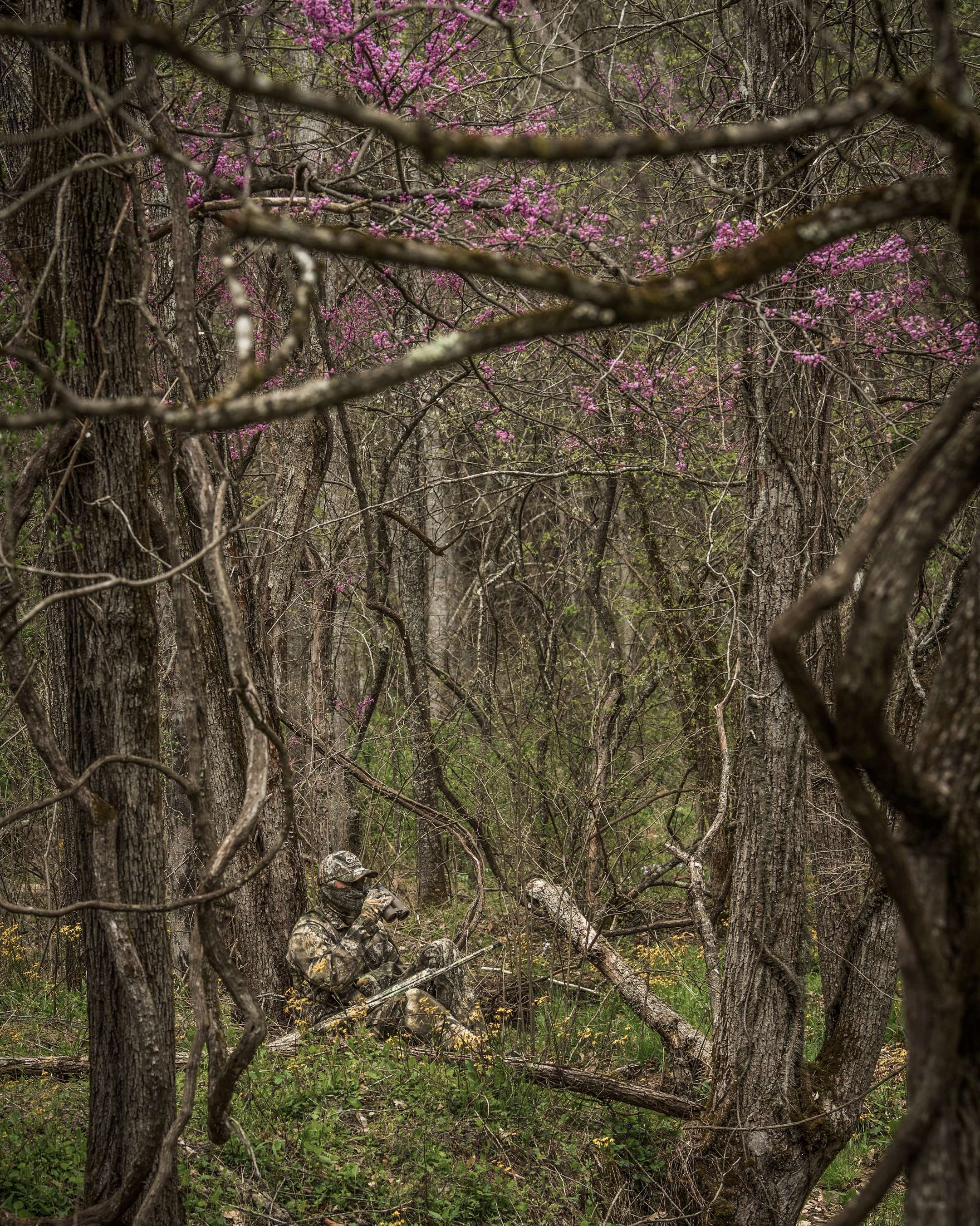 APX Turkey Image