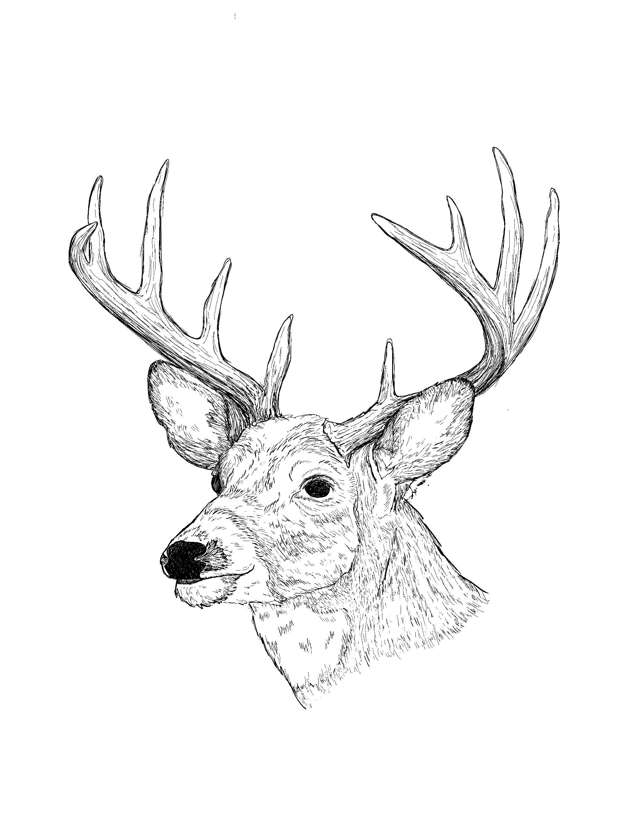 Image - Coloring Page4