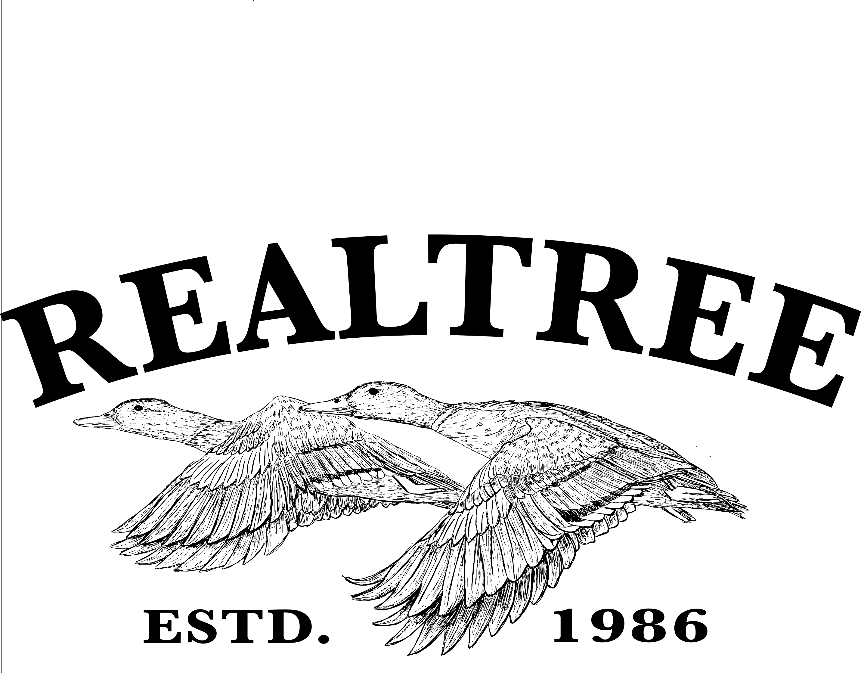 Image - RT Coloring Page2
