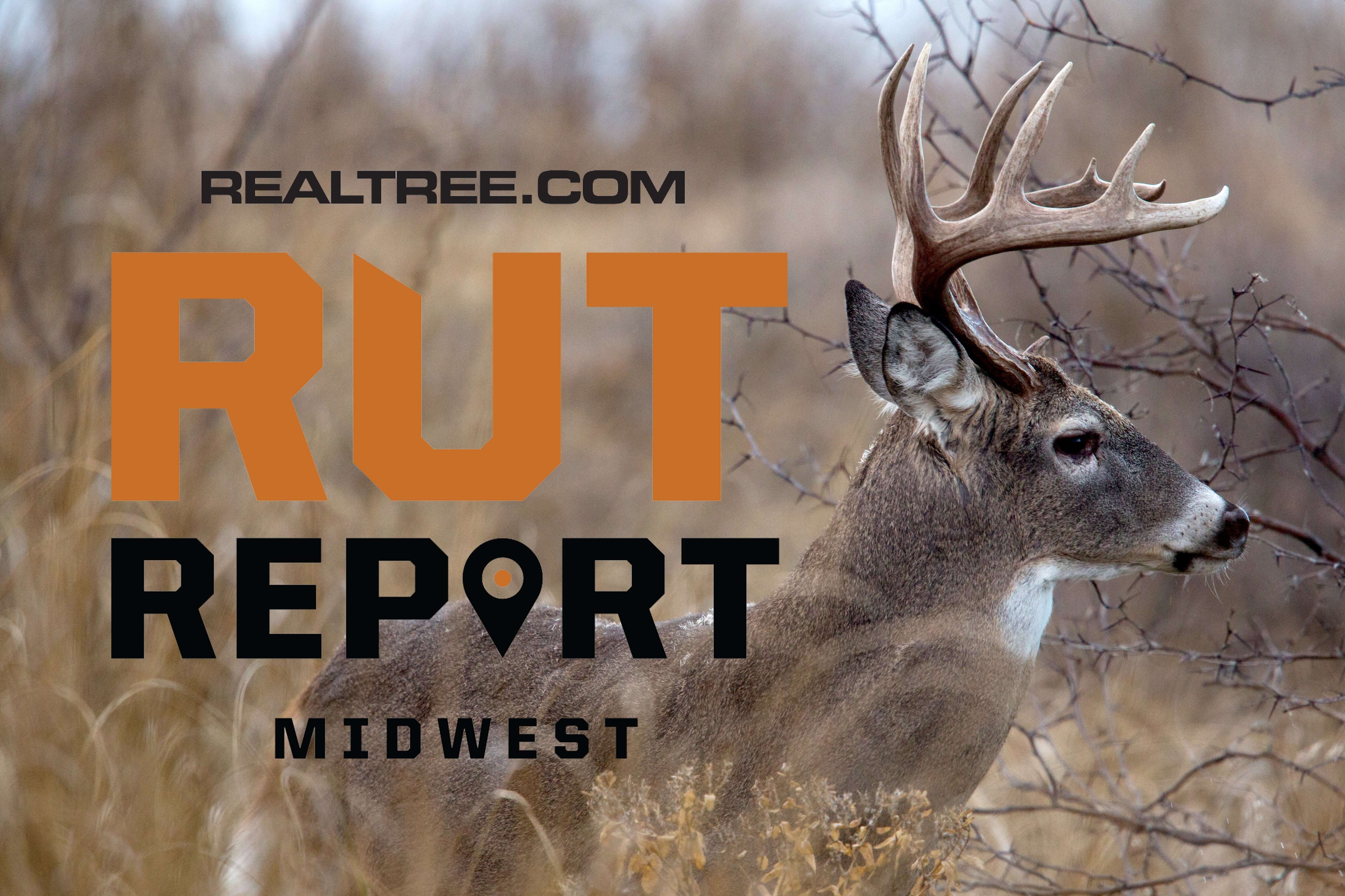 Midwestern Bucks Are on the Move - Realtree Camo