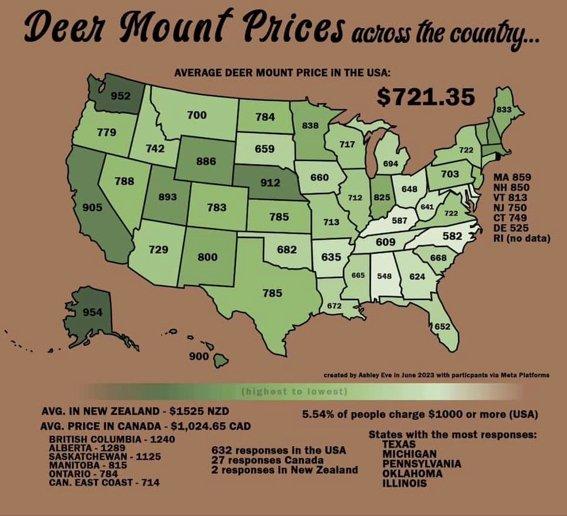 How Much Should a Deer Mount Cost? Realtree Camo
