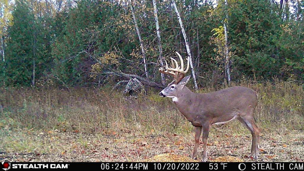 Image: ImageBy_Ben_Harvey_rack_2