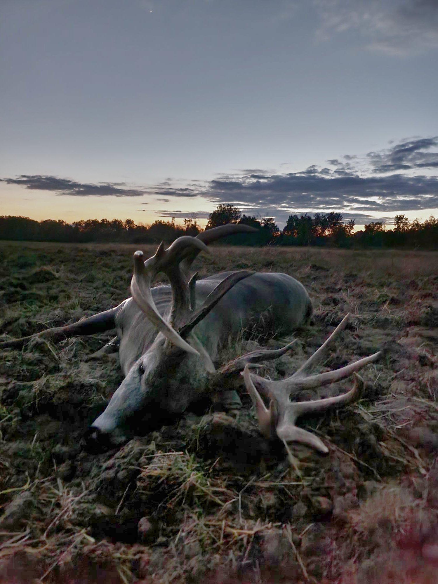 Image: ImageBy_Ben_Harvey_rack_6