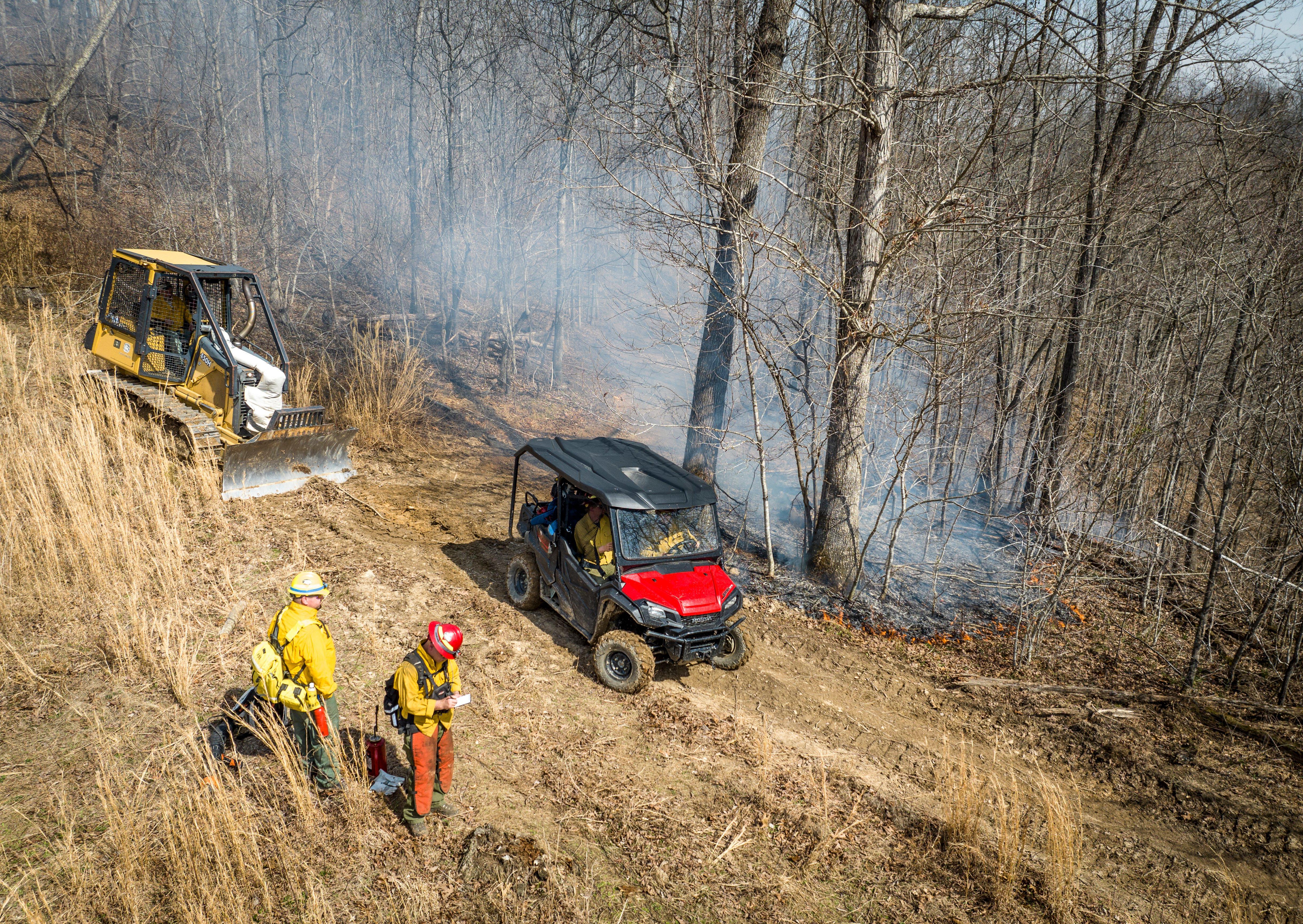 Image: ImageBy_Bill_Konway_Early_Successional_Habitat_8-0475