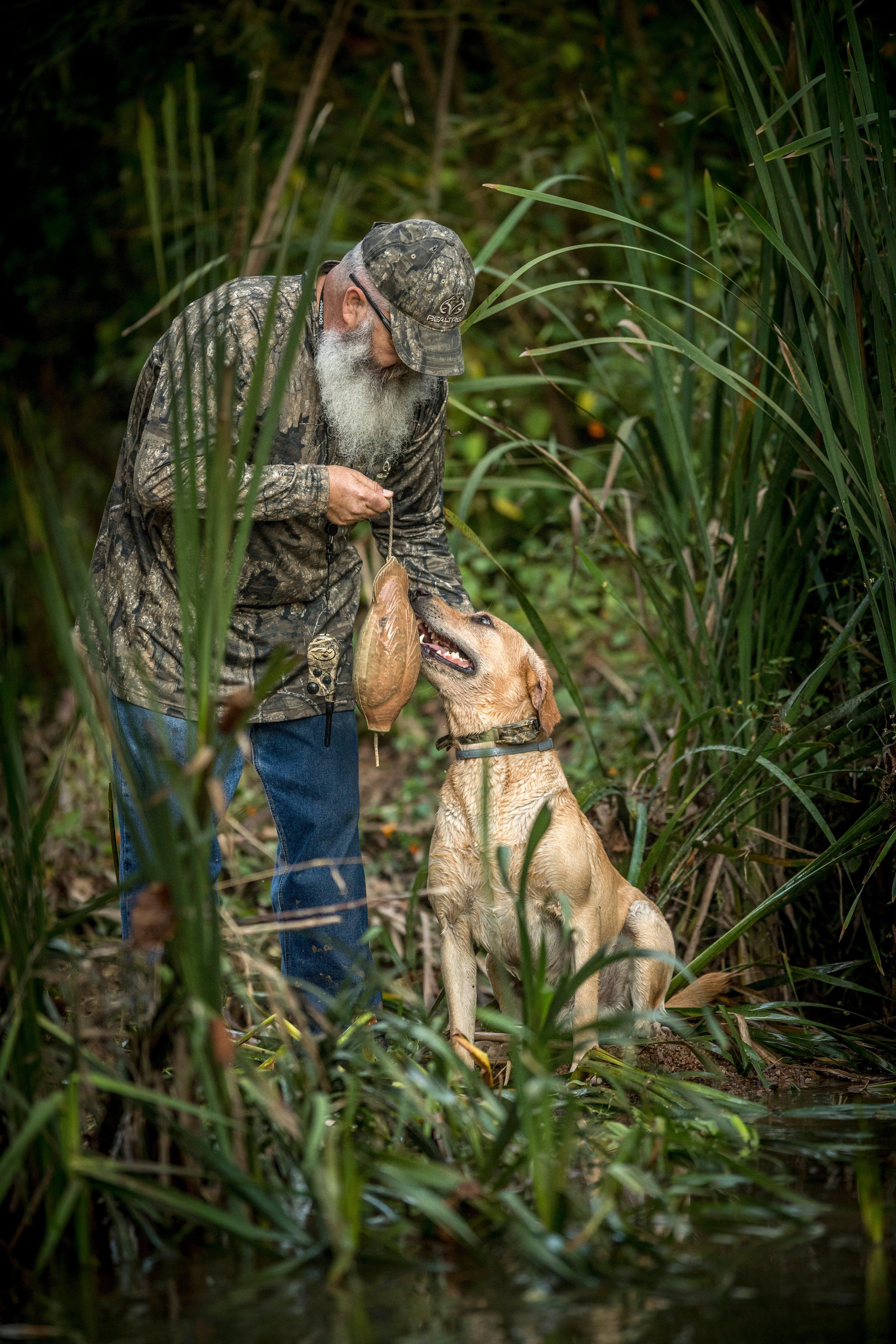 Image: ImageBy_Bill_Konway_dog_training_2