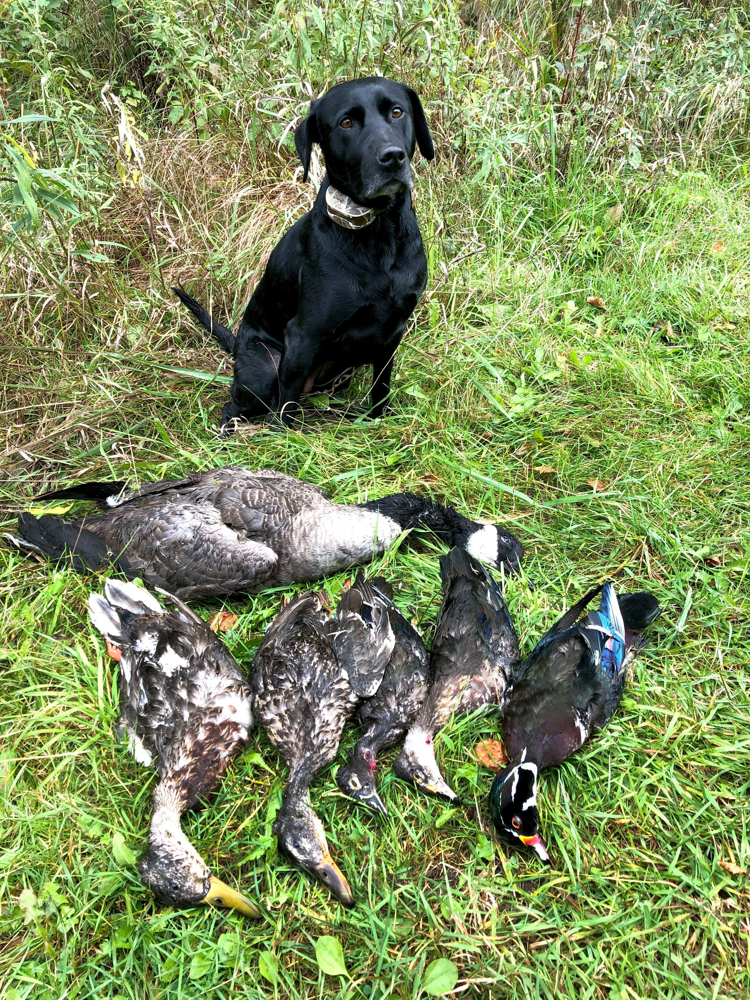 Image: ImageBy_Brian_Lovett_opening_day